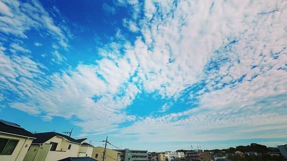 のインスタグラム：「こんばんは！  『感情直結型ギタリスト』西川進です！！  いよいよ、、、  アレの資料が届きました、、、。  11月中旬まではかなり忙しくなります、、、。  Emö School（エモスク）生徒のみなさま、、、  申し訳ありません、、、。  今しばしお待ちください、、、。  そして日記がいつもより短くなるかもしれません、、、  ごめんなさい！！  明日はまた真夏日になるらしいですが、、、  今日の空はうろこ雲で、、、  秋を感じました、、、。  みなさまの所はいかがですか？  今日と明日がみなさまにとって素敵な一日となりますように、、、。  #ミルベストショット #柴犬　#豆柴  ＿＿＿＿＿＿＿＿＿＿＿＿＿＿＿＿＿＿＿＿＿ ＿＿＿＿＿＿＿＿＿＿＿＿＿＿＿＿＿＿＿＿＿  株式会社 Emö SensatioN（Smash Room Group）は、  サポートミュージシャン（ベーシスト、キーボーディスト）を急募します！！  応募はこちらから！！  https://emosensation.com/wanted/  Smash Room Group https://smashroom.com  #ミル #愛犬　#白豆柴 #白い豆柴   #sayuras　#サユラス　#西川進　#ギター #ギタリスト　#guitarist #サウンドプロデュース #スマッシュルーム　#SmashRoom #サポートミュージシャン  #レコーディング　#ソロ　#EmöSensatioN　#エモセンセイション　  #ギター教室 #音楽教室 #レッスン #スクール #エモスク  #演奏　#楽器　#音楽」