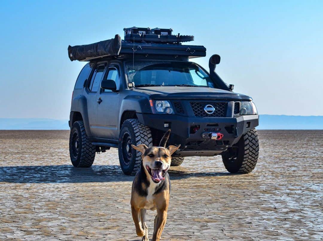 Nissanさんのインスタグラム写真 - (NissanInstagram)「Even doggies have incredible memories with a Nissan! 🔥  📸: @moleisurexventures  Keep using the hashtag #MyNissanMemory to share your favorite pics with your car, your branded T-shirt, or any Nissan moment!  #Nissan #Nissan90th #Anniversary #CarLover #Cars #CarsOfInstagram」9月27日 22時30分 - nissan