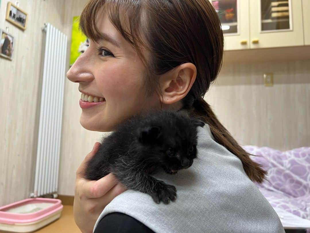 澤田愛美さんのインスタグラム写真 - (澤田愛美Instagram)「.  可愛くて尊い、小さな命🐈🐾  あすのハレのちあした18時台・県内ニュースでは 保護猫について特集でお伝えします。  新しい家族を必要としている保護猫たち。 そもそもどうして、保護が必要な猫が出てくるのでしょうか？ 青森市にある保護猫ハウス「こころ」( @kokoroneko22 )を取材させて頂きました。  あす18:15〜ハレのちあした ぜひご覧下さい！  ⭐️YouTube・ABAニュースチャンネルにて 　　　　　　　　　　　　　　　動画をご覧頂けます⭐️ .   #猫 #保護猫 #ハレのちあした #青森朝日放送 #ニュース #取材 #報道」9月27日 22時23分 - amy____oxox