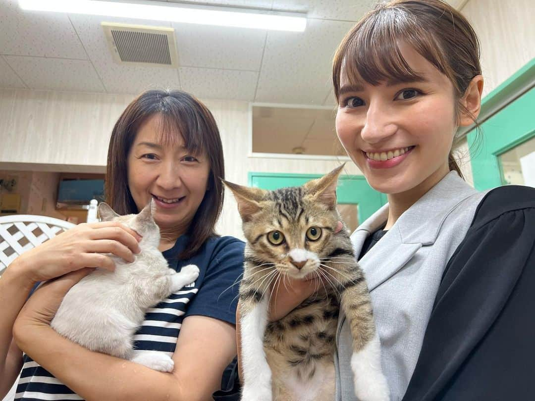 澤田愛美さんのインスタグラム写真 - (澤田愛美Instagram)「.  可愛くて尊い、小さな命🐈🐾  あすのハレのちあした18時台・県内ニュースでは 保護猫について特集でお伝えします。  新しい家族を必要としている保護猫たち。 そもそもどうして、保護が必要な猫が出てくるのでしょうか？ 青森市にある保護猫ハウス「こころ」( @kokoroneko22 )を取材させて頂きました。  あす18:15〜ハレのちあした ぜひご覧下さい！  ⭐️YouTube・ABAニュースチャンネルにて 　　　　　　　　　　　　　　　動画をご覧頂けます⭐️ .   #猫 #保護猫 #ハレのちあした #青森朝日放送 #ニュース #取材 #報道」9月27日 22時23分 - amy____oxox