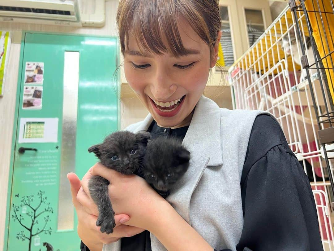 澤田愛美のインスタグラム：「.  可愛くて尊い、小さな命🐈🐾  あすのハレのちあした18時台・県内ニュースでは 保護猫について特集でお伝えします。  新しい家族を必要としている保護猫たち。 そもそもどうして、保護が必要な猫が出てくるのでしょうか？ 青森市にある保護猫ハウス「こころ」( @kokoroneko22 )を取材させて頂きました。  あす18:15〜ハレのちあした ぜひご覧下さい！  ⭐️YouTube・ABAニュースチャンネルにて 　　　　　　　　　　　　　　　動画をご覧頂けます⭐️ .   #猫 #保護猫 #ハレのちあした #青森朝日放送 #ニュース #取材 #報道」