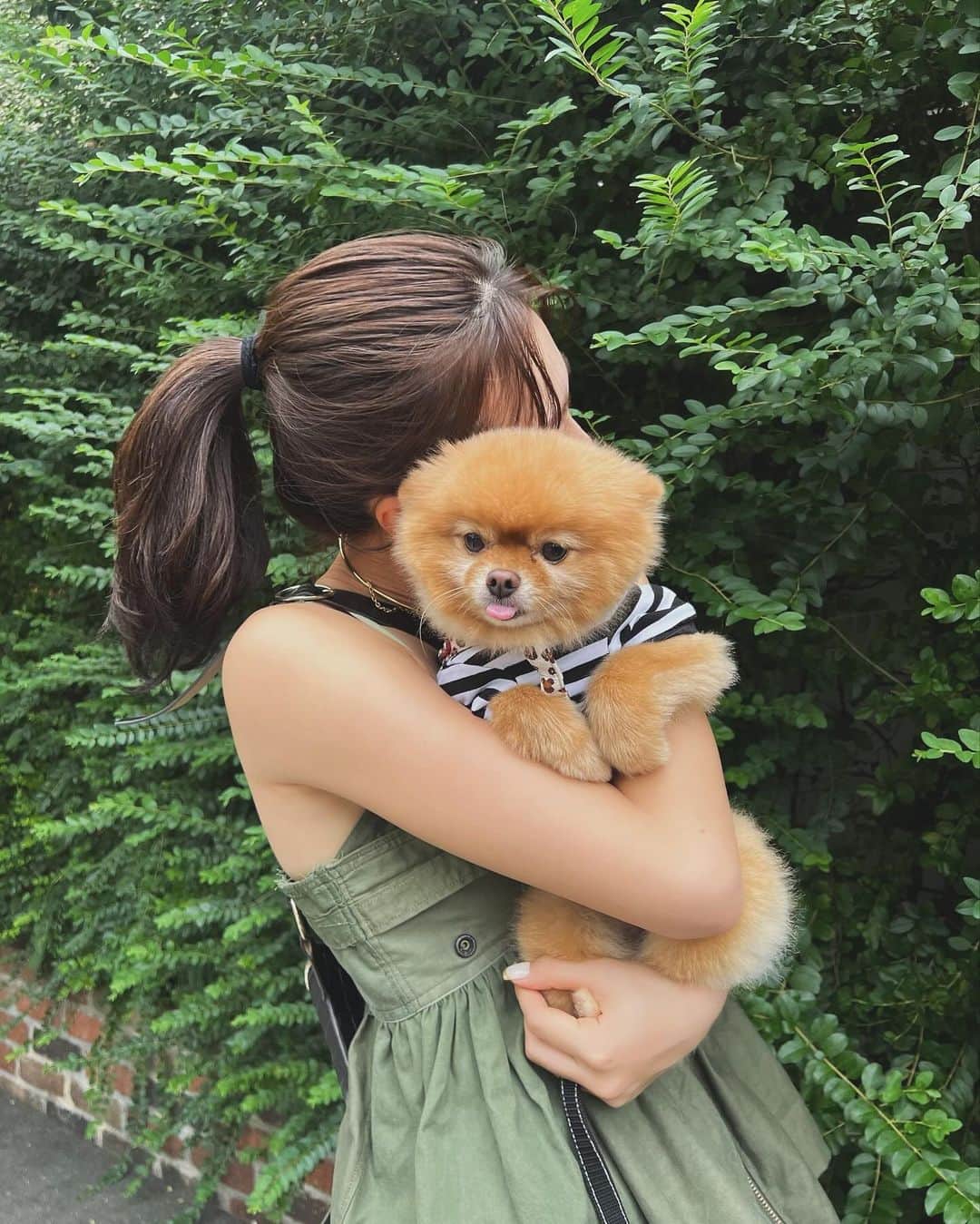 美舞のインスタグラム：「. . 最近載せるの諦めてた　#人の犬　🐕 全てが愛おしいワンちゃん達。 . #人の犬　#人の　#犬」