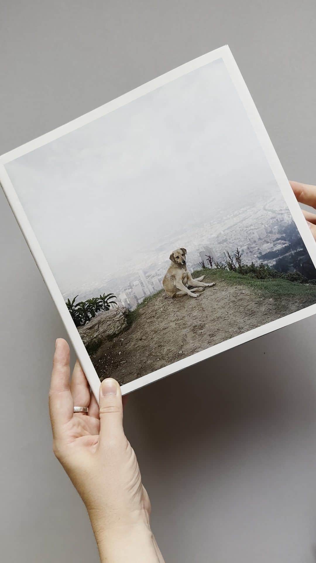 Magnum Photosのインスタグラム：「#MagnumBookClub: Dog Days, Bogotá by Alec Soth (@littlebrownmushroom) 📖  Browsing the Magnum Photos library in London, Retail & Publications Manager @chilli.power picks up a book dummy of Dog Days, Bogotá, Alec Soth’s delicate story of Colombia made during the adoption process of his daughter, and compares it to the final book published by @steidlverlag.   Which photobook shall we look at next? 💡」