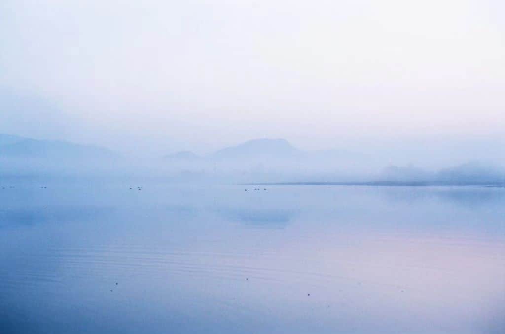 岩倉しおりさんのインスタグラム写真 - (岩倉しおりInstagram)「霧の朝。」9月27日 23時00分 - iwakurashiori