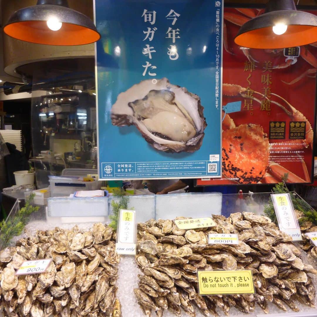 小林紗良さんのインスタグラム写真 - (小林紗良Instagram)「金沢🍁 牡蠣ラバー♡🦪♡」9月27日 23時10分 - sara_1229_
