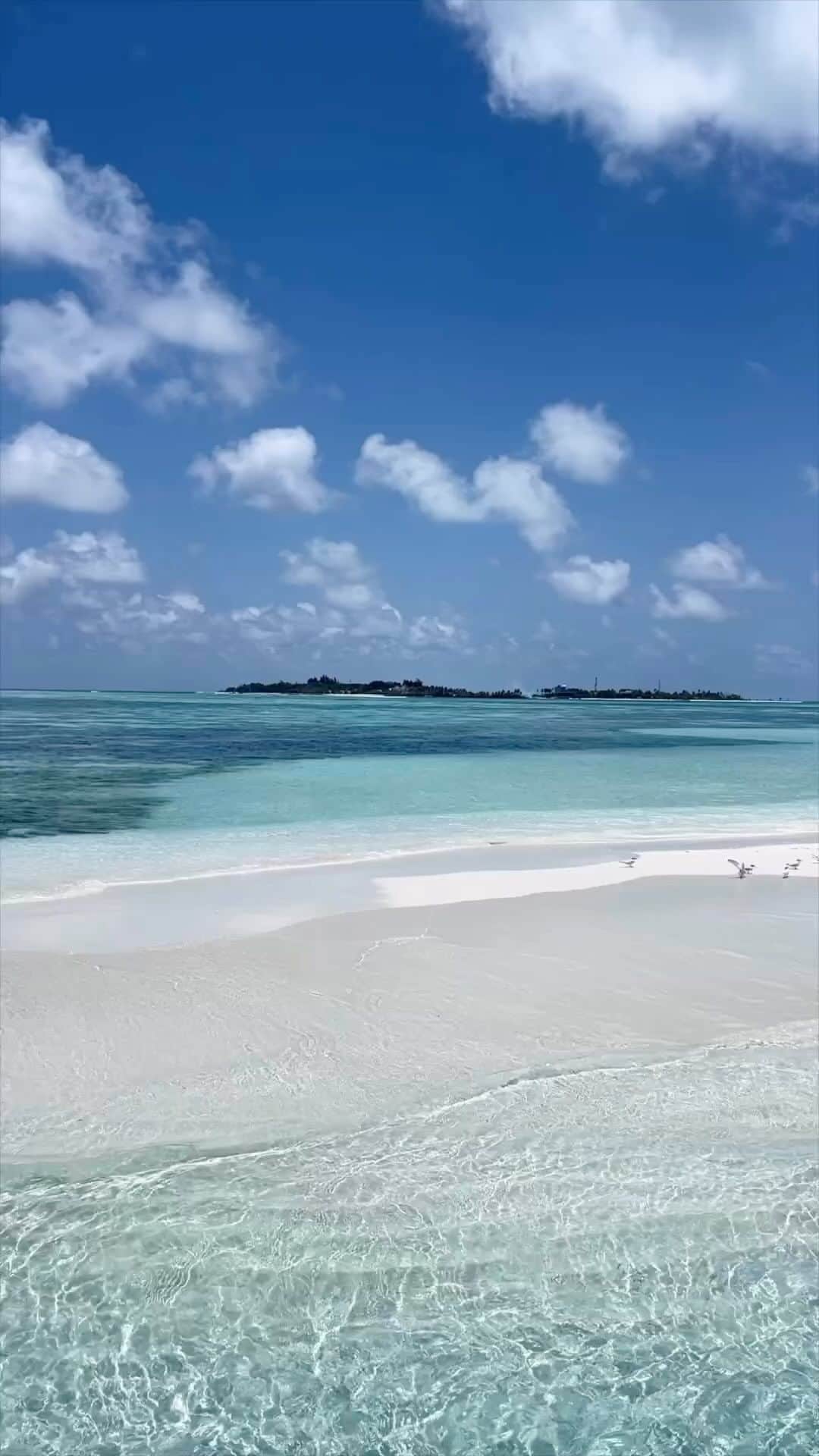 のインスタグラム：「Maldives Islands - Escape to Paradise.  Connect with us @nichegetaways to book your vacation in the Maldives.   🎥 @melissatheibel   #nichegetaways #maldivesislands #luxuryresort #travelinspiration #islandvacations #traveltheworld #lagoon #beachresort #мальдивы #wanderlust #sandbar #beaches #islandgetaway #birds #paradisefound #bucketlist #vacay #beachvibes #purebliss」