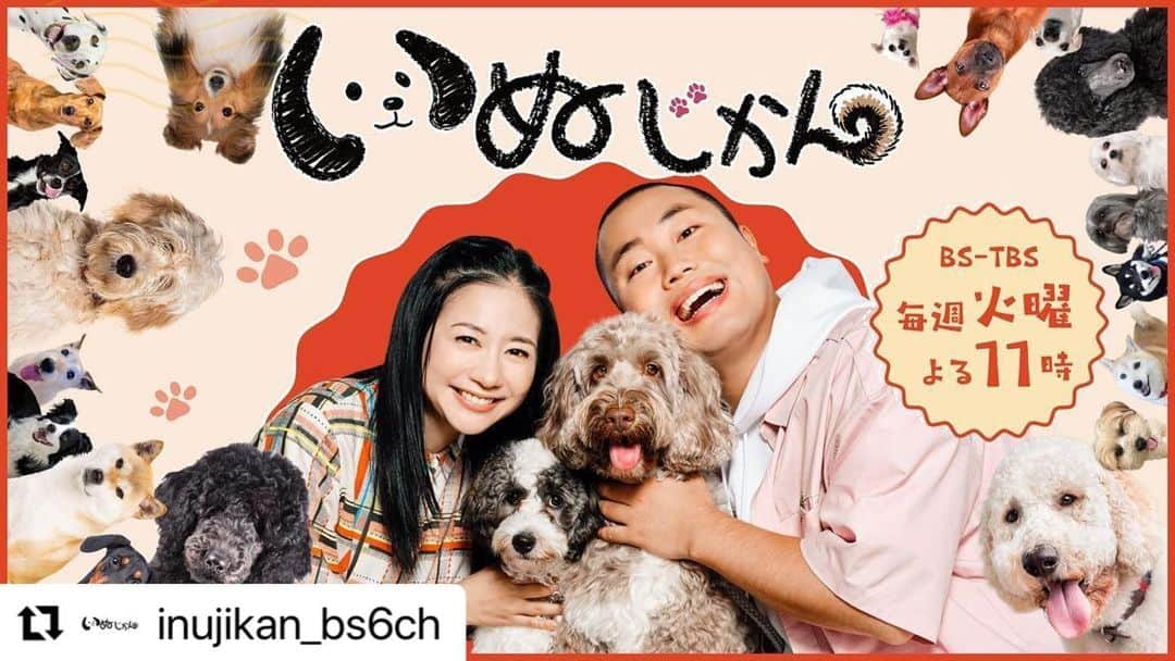 関根麻里さんのインスタグラム写真 - (関根麻里Instagram)「#Repost @inujikan_bs6ch with @use.repost ・・・ 🐩🐕‍🦺🐕  ╔═══════════════════╗  　　　　 　　　　BS-TBS でいぬ番組がスタート 　　　　　　　「いぬじかん」  　　　初回放送日 10 月 3 日(火)よる 11時  ╚═══════════════════╝  いぬじかんのキービジュアルが完成しました👏✨ 関根さんと岡部さんの間にいるワンちゃんたちは 撮影でお邪魔したお店の アビアンちゃん(左)とスタナーちゃん(右)です🐶 とてもお利口な二匹のワンちゃんは 収録で大活躍してるので放送をお楽しみに☺️  #いぬじかん #関根麻里 #ハナコ #岡部大 #いぬ #dog #犬 #いぬ #アビアン #スタナー #キービジュアル #いぬ番組 #犬のいる暮らし #犬スタグラム #いぬのいる暮らし #いぬすきさんと繋がりたい」9月27日 23時59分 - marisekine