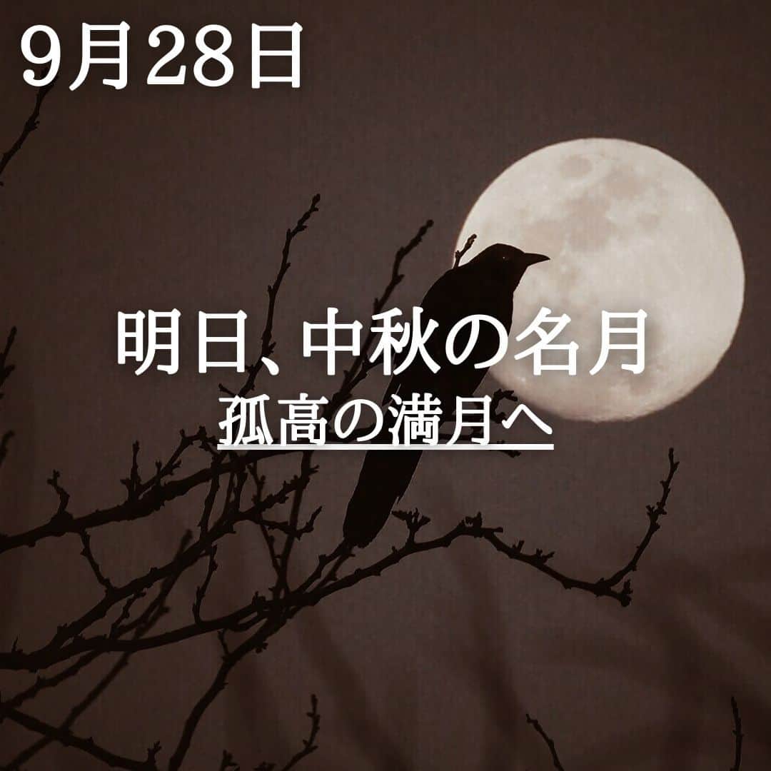 SOLARITAさんのインスタグラム写真 - (SOLARITAInstagram)「【9月28日の運勢】 明日、満月を迎えます 「中秋の名月」と呼ばれる 孤高の満月です . . 明日の朝、月は十二星座最初の世界である牡羊座に移動し、夕方にそのまま満月となります。「始まりの世界」で生まれるこの満月は「中秋の名月」でもあります。透き通った秋の空気に浮かぶ美しい満月は、同時に2023年の四分の三が終わろうとしていることを知らせる輝きでもあります。 . コーン・ムーンとも呼ばれるこの満月は、占星術的には他の星から影響を受けない位置で生まれる孤高の満月です。今年の残り3ヶ月に向け目標を定める機会にしてください。 . . #星占い　#占星術　#四柱推命」9月28日 0時01分 - solarita_official
