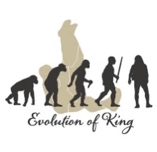鈴木みのるさんのインスタグラム写真 - (鈴木みのるInstagram)「Evolution of King Tee  @piledriver_harajuku  …という名のTシャツ。猿から原人になって…最後には鈴木みのるになるって進化論。後ろのパイルドライバーシルエットは大陸というか、地図風になっている。ちなみに良くあるダーウィンの進化論を見ながら手描きしてみた。カラーは…ホワイトxダークグレー、スモークxブラック、ダークグリーンxレッド…の3色。10月発売予定。S.M.L.XL.XXL。¥4500-」9月28日 0時08分 - suzuki.d.minoru