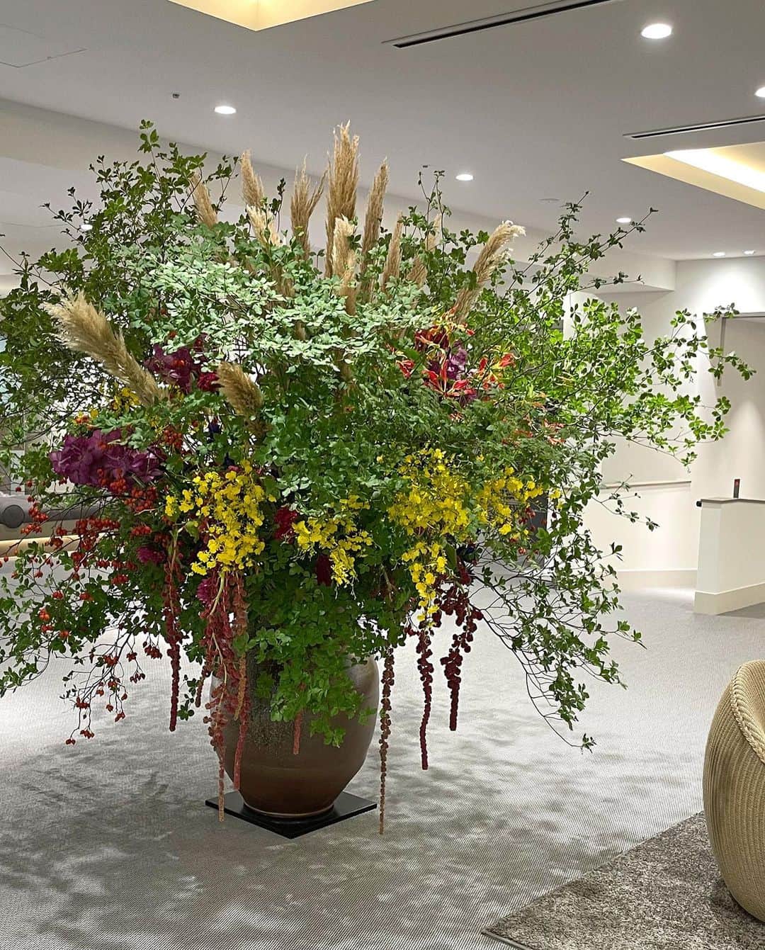 AOYAMA_HANAMOのインスタグラム：「装花のご紹介（秋の装花-1） ・ ホテルエントランスを飾る巨大な活け込み。ドウダンツツジとパンパスグラスでシルエットを作り、ケイトウ・スズバラ・アマランサスなどの秋ならではの花材で中央を構成しました。オンシジュームやバンダなどの鮮やかな花も織り交ぜた、インパクトある仕上がりです。 ・ オンシジュームのイエロー、バンダのピンク、ケイトウのレッドなど、原色の分量を適度に抑えたことで上品さを保っています。また、アマランサスやスズバラなど、下垂する花材を使うことでボリュームと動きを出しました。どこから見ても美しくなるよう、たくさんの花材を使い、四方見（しほうみ）で作っています。 - - - #aoyamahanamo #青山花茂 #表参道の花屋 #お花のある生活 #花が好きな人と繋がりたい #花を飾ろう #花のある暮らし #花のあるくらし #花のある日常 #ドウダンツツジ #パンパスグラス #ケイトウ #スズバラ #アマランサス #オンシジューム #バンダ #枝物 #装花 #活け込み #青山花茂活け込み #ホテル装花 #エントランス装花 #ロビー装花 #季節の装花 #秋の装花 #インテリアフラワー」