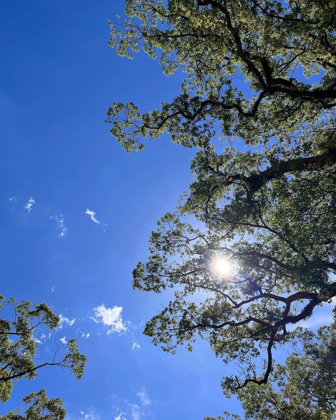 前田友香さんのインスタグラム写真 - (前田友香Instagram)「good morning☀︎」9月28日 10時20分 - yukamaeda.maeyuka