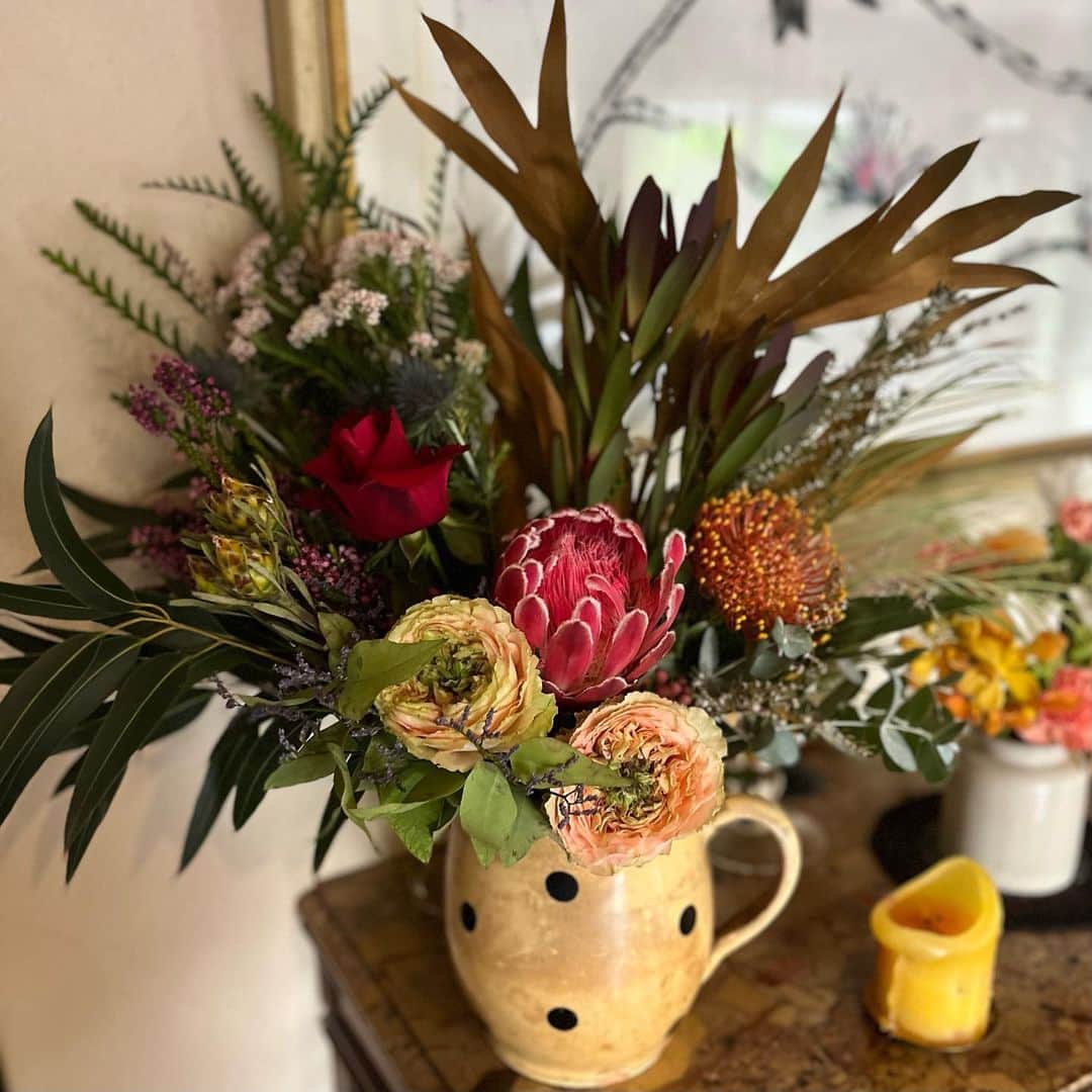 クリス智子さんのインスタグラム写真 - (クリス智子Instagram)「「世界の花屋」の花束、一本一本に力を感じます。ワイルドで美しい！@sekainohanaya  ありがとうございます👏  写真では見えないですが、茎がしっかりしていて、✂️もびっくりさ。  「世界の花束」は、アフリカのをはじめ、中南米やアジアなど、世界の生産者の方々と繋がり、花を届けて6周年。普段はオンラインストアでブーケ中心なんですが、  今度の週末（29,30日）代官山アドレスで、一輪から買えるポップアップショップが開催されます。  （昨日の番組内で、世界の花屋の小林邦宏さんのコメントと合わせて、ご紹介@good_813jwave ）  なんと、訪れた人みなさんにバラを一輪、プレゼントしてくださるそうです。(๑˃̵ᴗ˂̵)👏  行ける方はぜひ、素敵な花のパワーを浴びにお出かけを！  #世界の花屋 #小林邦宏 #goodneighbors  #flower」9月28日 10時52分 - chris_tomoko