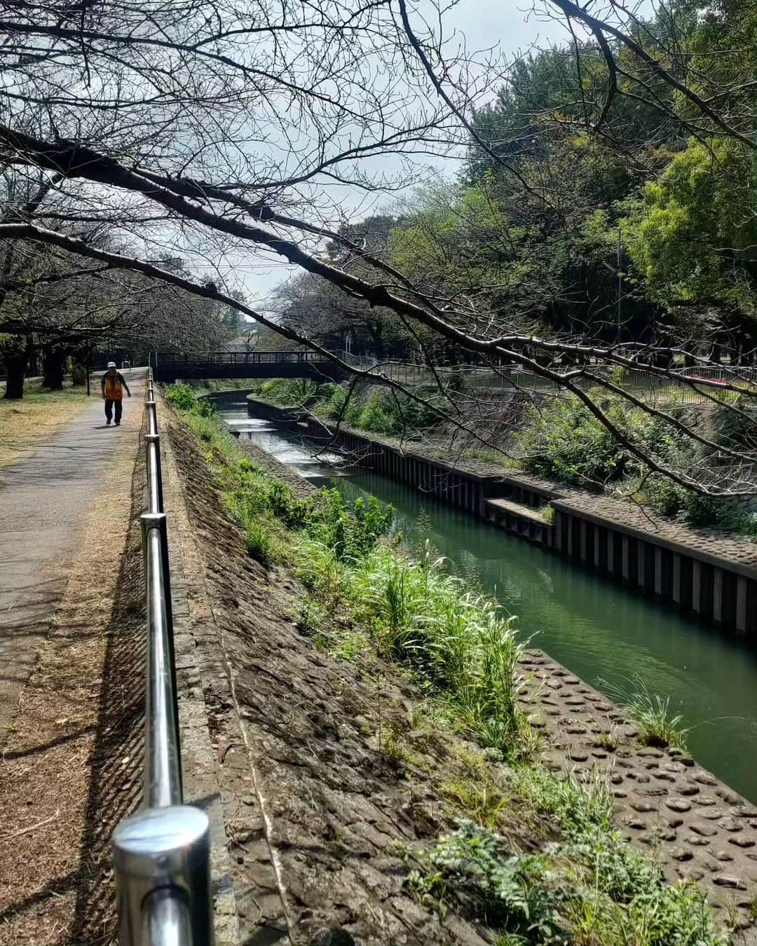 有馬徹さんのインスタグラム写真 - (有馬徹Instagram)「おはようございます。 朝の散歩。快晴。最高。  #朝散歩 #朝のルーティン」9月28日 10時56分 - inuarima