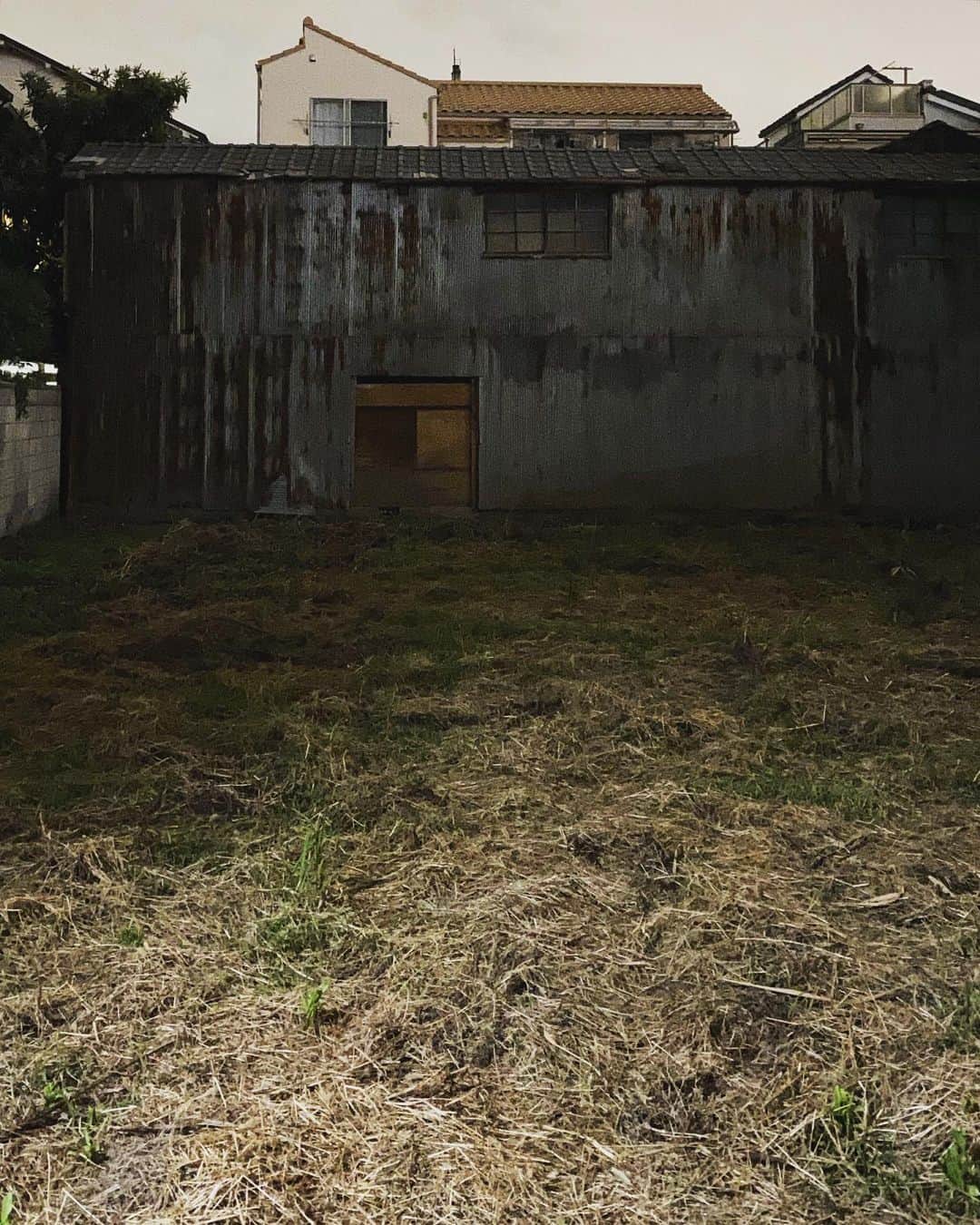 エドツワキのインスタグラム：「食後にぶらぶら歩いてて見つけた、露わになったトタンの隣家とセットで永久保存したい空き地。」