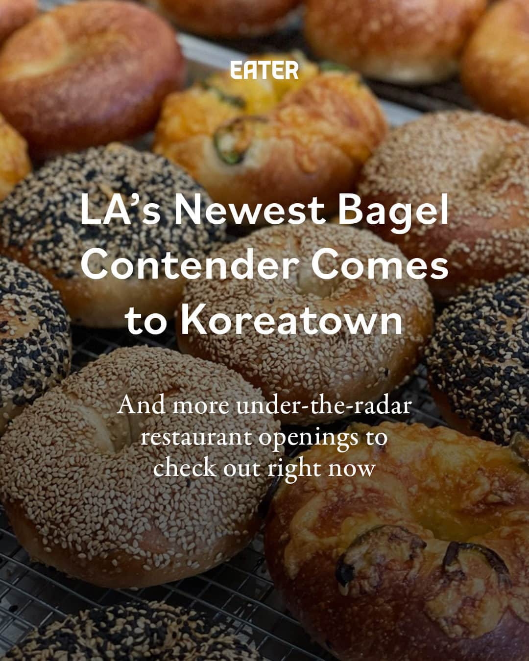 Eater LAさんのインスタグラム写真 - (Eater LAInstagram)「Brand new restaurants open every day across the Southland. This periodic compilation spotlights some of the most notable places that have popped up recently. From Ethiopian comforts in Eagle Rock to gyozas in Echo Park, tap the link in bio for five under-the-radar restaurants to check out in LA right now by Eater LA senior reporter/editor Cathy Chaplin (@gastronomyblog).  📸: @calicbagel」9月28日 2時35分 - eater_la