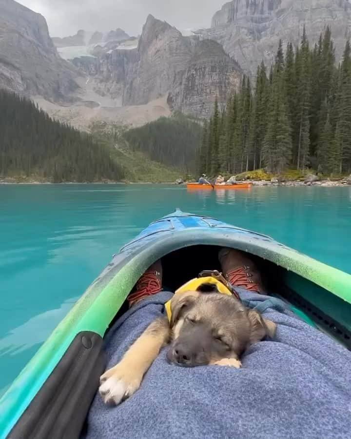 Explore Canadaのインスタグラム：「If this isn’t nice, what is?     📷: @trailsandbears  📍: @travelalberta    #ExploreAlberta #ExploreCanada   Video description: POV of a person sitting in a canoe on a lake overlooking a grand mountainous range with a black and brown puppy sleeping soundly on their legs.」