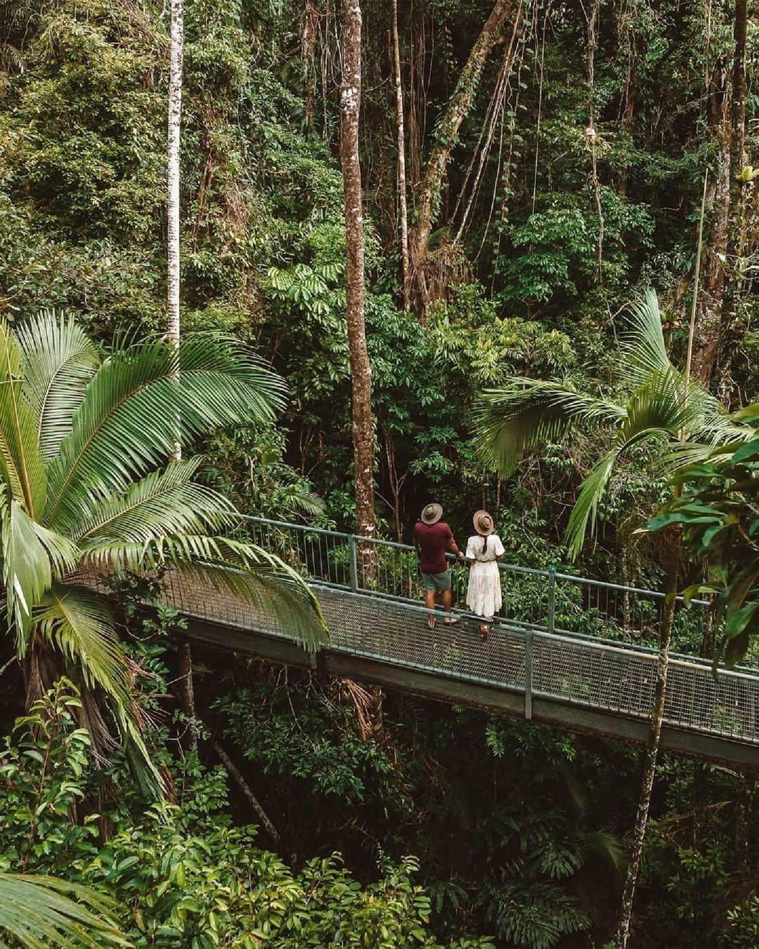 のインスタグラム：「We can't take our eyes off the stunning #DaintreeRainforest 🤩 Just like these two, we're completely captivated by this calming moment of green in @tropicalnorthqueensland's @wettropicsworldheritage rainforest 💚🍃 Venture beneath the lush canopy along leisurely, wheelchair-accessible trails to spot native plants and #wildlife 🦜 Or, spend the day with @walkaboutculturaladventures to forage for #BushFoods with local Kuku Yalanji man, Juan Walker, as he shares insights into his culture. (📸: @queensland)   #SeeAustralia #ComeAndSayGday #ThisIsQueensland #ExploreTNQ  ID: A man and woman standing on an elevated trail surrounded by plants and trees, looking up towards the canopy of the Daintree Rainforest.」