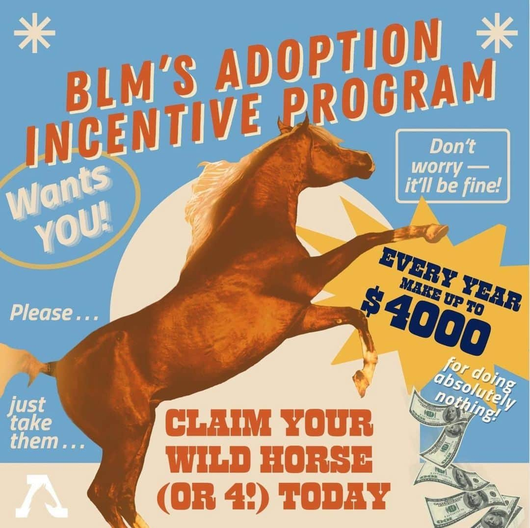 ベス・ベアーズのインスタグラム：「🐴💔Swipe through to learn the truth about how The Bureau of Land Management's Adoption Incentive Program is impacting wild horses and burros. 💔🐎 Our investigation reveals a dire misuse of the $1,000 cash incentive, as these horses are being sent into the pipeline for slaughter as soon as their adopters receive the total reward.   Let's stand together to protect the symbol of freedom and perseverance that these wild horses represent. 🗽   Repost: @freewildhorses   #SaveWildHorses #KeepWildHorsesWild #ProtectOurIcons #StopTheSlaughter #WildHorseAdvocacy」