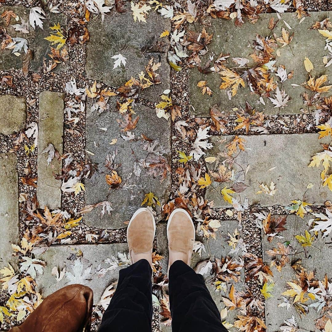 Kate Oliverのインスタグラム：「Why yes, I am an elder Millennial who misses the simplicity of Instagram’s early days when we took photos of our feet. Also: this was too beautiful this morning, all these leaves on this stone path we laid a few years back.」