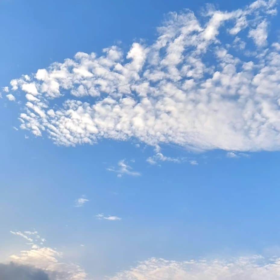 愛華みれさんのインスタグラム写真 - (愛華みれInstagram)「イワシ雲？だっけ  かわいい雲  まだ気温も真夏日💦って  秋～🎶」9月28日 6時38分 - mireaika