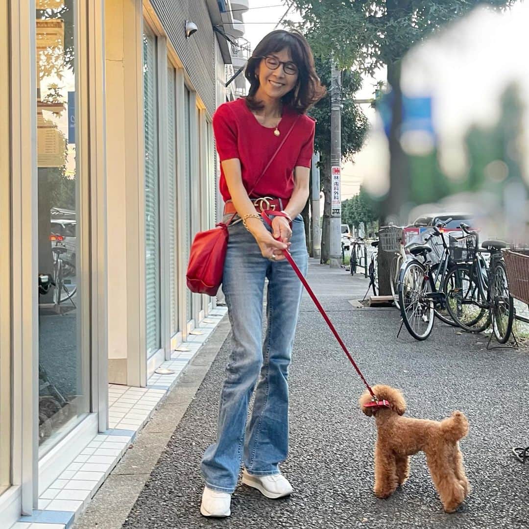 柏木由紀子のインスタグラム：「リールでもご覧いただいた通り、レアがお腹を壊して動物病院へ。 不安げな待ち合い室でと 、すぐに治るとのことで安心の笑顔の写真です。  人間もワンちゃんも 元気が一番😊ですね。  　  #柏木由紀子ファッションクローゼット 好評発売中！ #楽天ブックスファッション部門1位獲得 #発売前重版 #坂本九音楽事務所 #坂本九 #坂本九柏木由紀子 #シニアファッション #シニア世代のファッション番長 #75歳 #70代コーディネート #60代コーディネート #50代コーディネート #柏木マダム #カシワギマダム #由紀子巻き #60代ヘアスタイル」