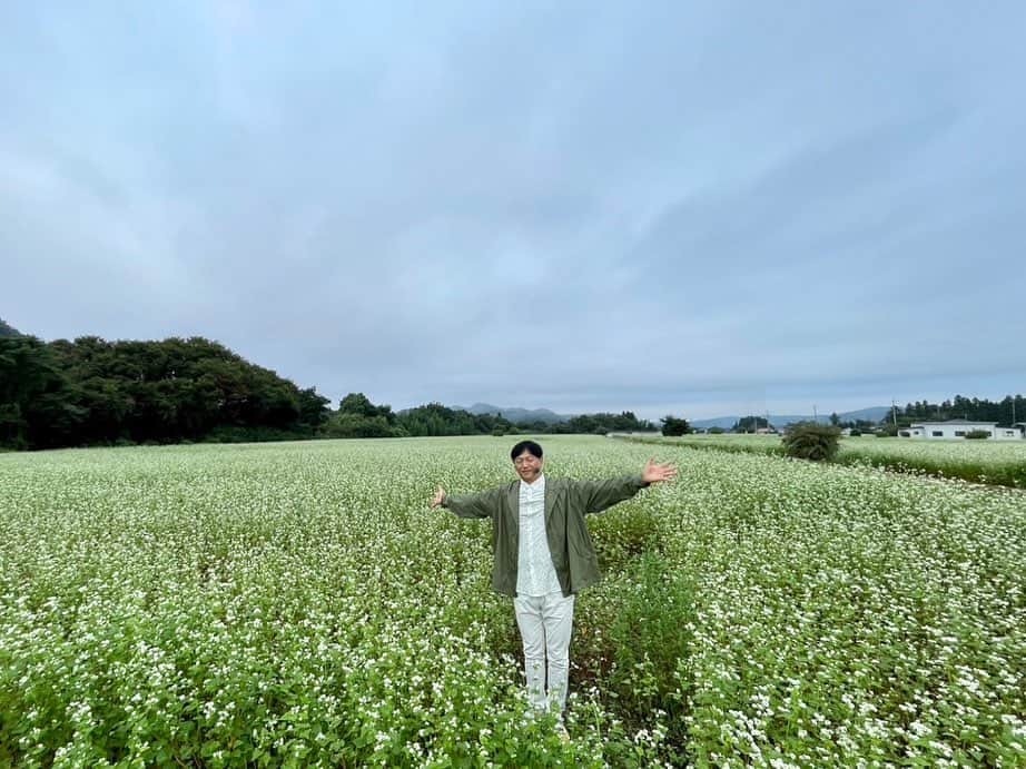 依田司のインスタグラム：「9月28日（木） 茨城県常陸大宮市のまちファームでは、秋の風物詩「そばの花畑」が満開となっています。 育てているのは、茨城ブランドでもある「常陸秋そば」。元は耕作放棄地だった場所に植えられた「そば」は今年の暑さにも耐え、スクスクと育ち、キレイな白い花を咲かせています。その広さは東京ドーム3個分。 来月中旬に「そばの実」としての収穫が始まり、11月ごろには「新そば」として食べられるそうです。待ち遠しいですね。  #まちファーム #そばの花畑 #Righton #ライトオン #依田さん #依田司 #お天気検定 #テレビ朝日 #グッドモーニング #気象予報士 #お天気キャスター #森林インストラクター #グリーンセイバーアドバンス #プロジェクトワイルド #IPCC伝導者 #japan #japantrip #japantravel #unknownjapan #japanAdventure #japanlife #lifeinjapan #instagramjapan #instajapan #療癒 #ilovejapan #weather #weathercaster #weatherforecast」
