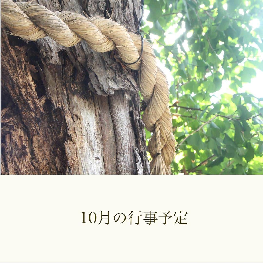 本能寺さんのインスタグラム写真 - (本能寺Instagram)「10月の行事予定  10月12日・13日　『御会式大法要（おえしきだいほうよう）』  本能寺の三大会のひとつ宗祖日蓮大聖人のご命日法要  ・12日（木）　17:00〜　御逮夜法要 ・13日（金）　6:00〜　晨朝法要　/　10:00〜御正當法要  ※本堂にて修行いたします。ご自由にご参拝、ご見学下さい。  ◆本能寺ホームページはこちら https://www.kyoto-honnouji.jp/  #本能寺」9月28日 9時26分 - kyoto_honnouji