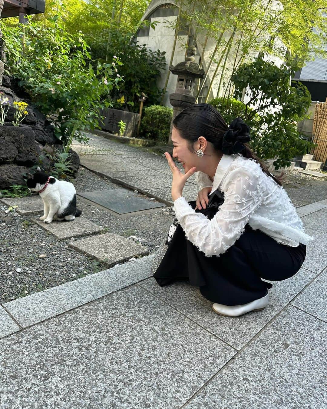 土井悠さんのインスタグラム写真 - (土井悠Instagram)「お参り後に後ろにいた猫。(振られた😷)」9月28日 19時21分 - yu_doi