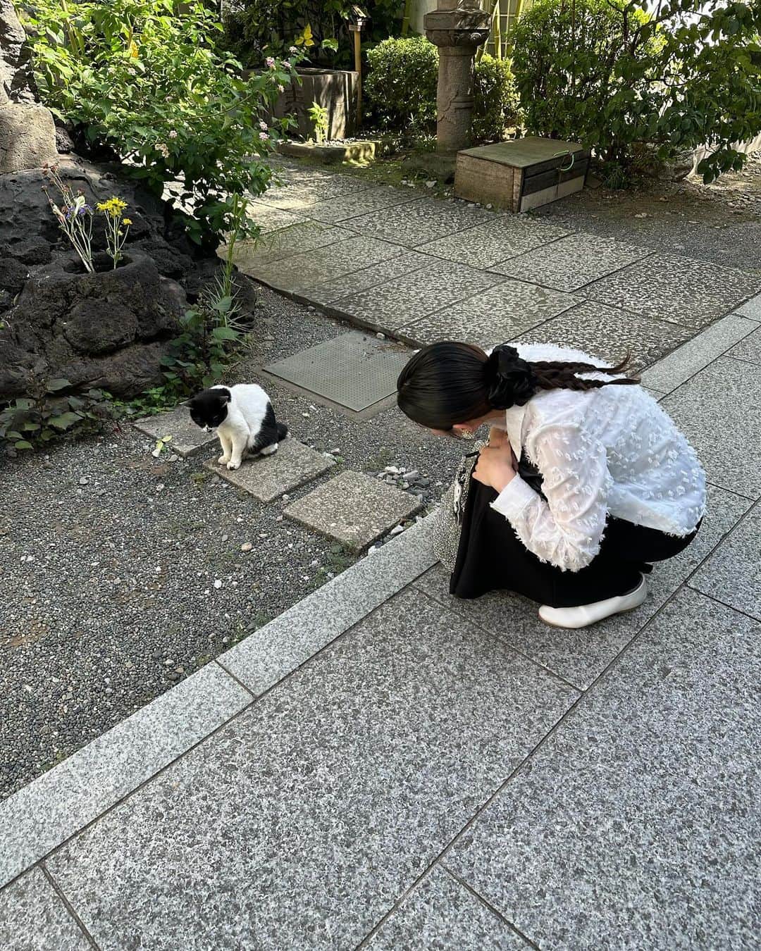 土井悠さんのインスタグラム写真 - (土井悠Instagram)「お参り後に後ろにいた猫。(振られた😷)」9月28日 19時21分 - yu_doi
