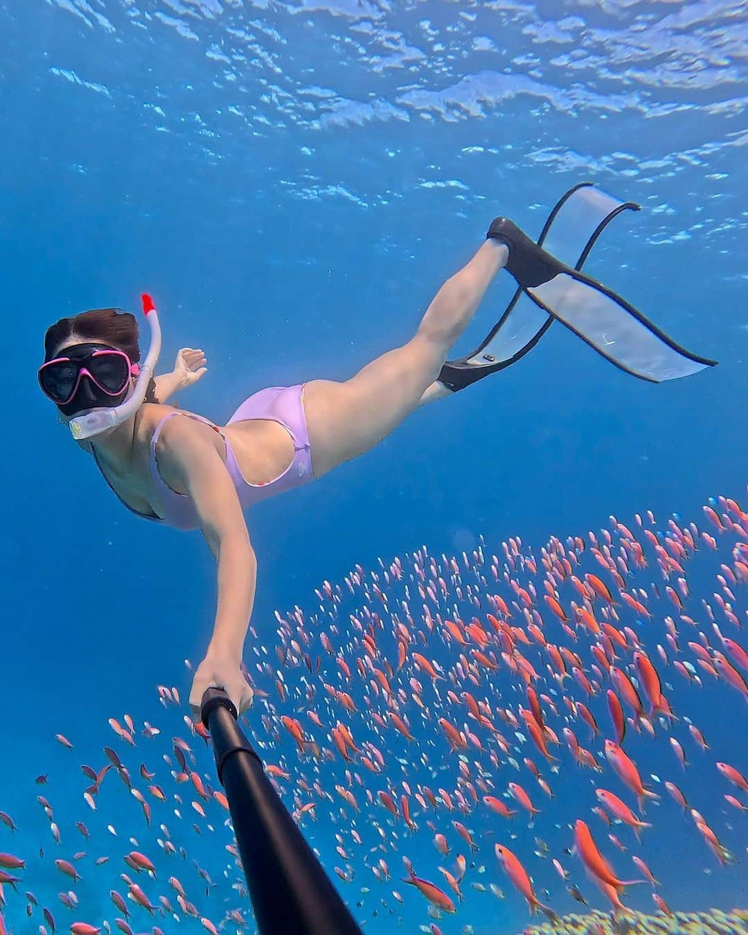 比嘉バービィのインスタグラム：「Okinawa's beautiful sea🐠✨  I felt happy that I met many kind of sea animals in Iriomote.🥰  海の中で出会った生き物たち。 ウミガメはやっぱりテンションあがる🐢  ウミガメとのSelfieショットを素敵に撮ってくれた @sumogurionna ありがとう🥹🫶 . 📹: #GoProHERO12 動画から切り取った#クマノミ の写真を拡大してもクオリティー良きで大満足◎  @gopro @goprojp  🚢: @iriomote_cross_river  👣: @okinawablessing_wetsuits  👙: @roxy  #goprojp #okinawa #iriomote #diving #skindiving #snoker #GoProHero12 #GoProTravel #goprogirl #GoProBarby  #gopro #Barby旅行記 #星野リゾート西表島 #西表島ホテル  #アカネハナゴイ #ウミガメ」