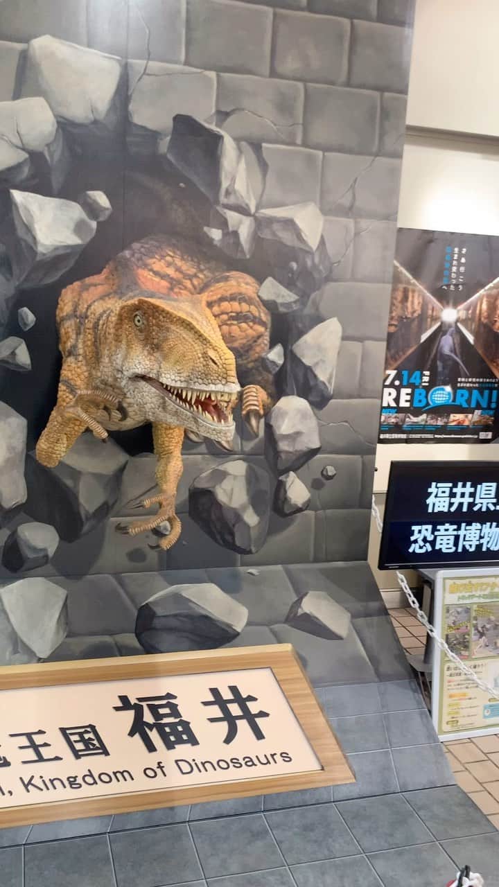 黒沢薫のインスタグラム