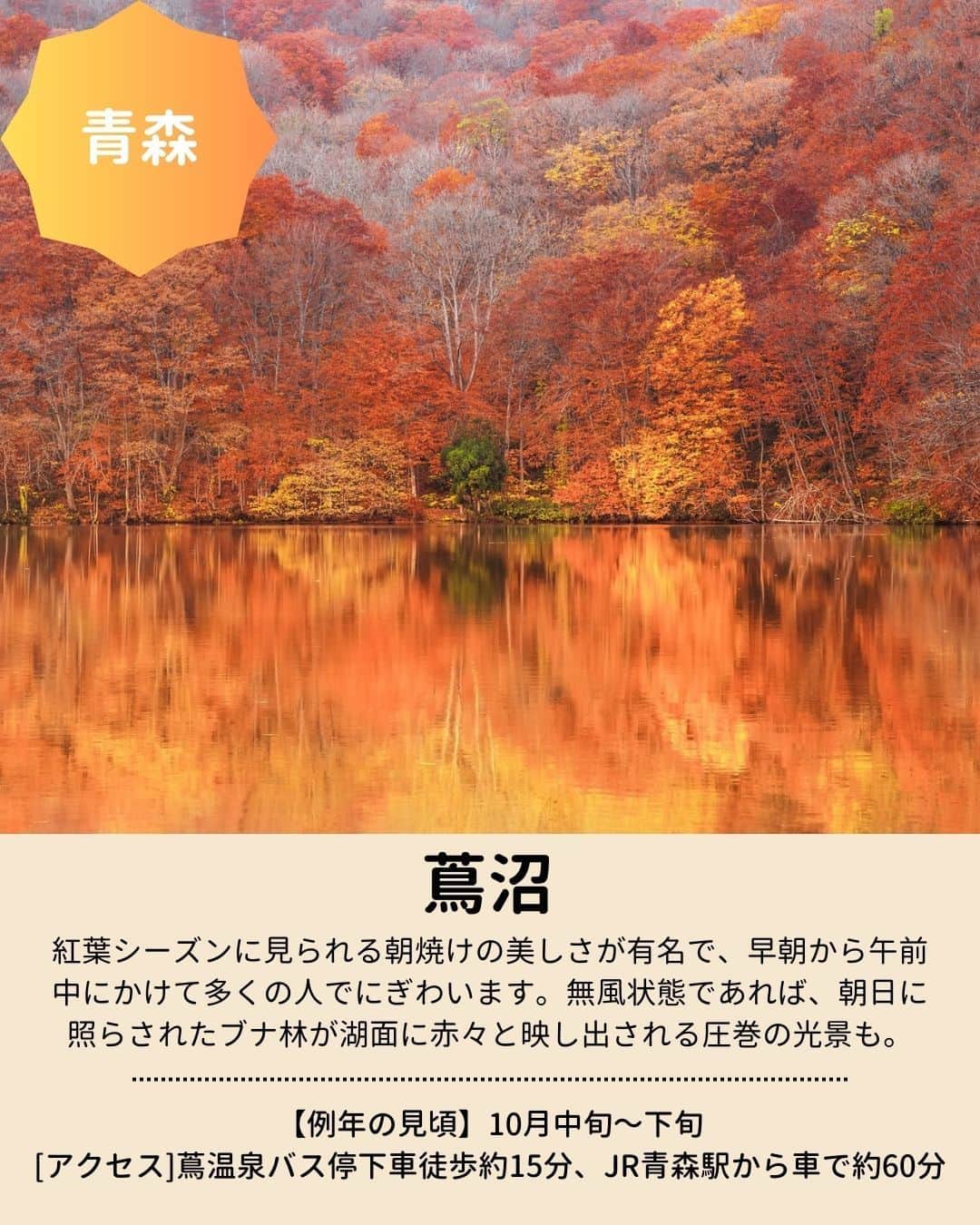 旅行比較サイト・トラベルコ 理想の旅を、いちばん安く。さんのインスタグラム写真 - (旅行比較サイト・トラベルコ 理想の旅を、いちばん安く。Instagram)「秋のお出かけに！　全国の #紅葉名所 をピックアップしてご紹介👩‍💻  今年の見頃は、平年並みか平年より遅い予想ですが、日本でいちばん紅葉が早いといわれる北海道の大雪山旭岳は先日、見頃を迎えたとの情報があります💡 保存してお出かけの参考にしてくださいね✨  #蔦沼 ｜青森県十和田市 #平林寺 ｜埼玉県新座市 #明治神宮外苑 ｜東京都新宿区 #河口湖もみじ回廊 ｜山梨県富士河口湖町 #香嵐渓 ｜愛知県豊田市 #メタセコイア並木 ｜滋賀県高島市 #永観堂 （禅林寺） ｜京都府京都市 #紅葉谷公園 ｜広島県廿日市市  ※最新情報は各公式サイトにてご確認ください  ＝＝＝＝＝＝＝＝＝＝＝＝＝＝＝＝＝ 【全国版】紅葉名所2023｜見頃やライトアップ情報をチェックしてもみじ狩りへ！  記事は以下URLまたはストーリーズからチェック！ https://www.tour.ne.jp/matome/articles/kouyou/ ＝＝＝＝＝＝＝＝＝＝＝＝＝＝＝＝＝＝  ***** あなたが旅先で出合った素敵な風景に #トラベルコ または #travelko をつけて投稿してみてください📷 こちらのアカウントで紹介させていただくかも！  投稿を見て「行きたい！」と思ったら保存でクリップ。 フォロー＆いいねもお願いします🌟  ***** 国内海外1500以上の旅行サイトをまとめて比較！ 旅行の最安値を探すなら「トラベルコ」  プロフィール欄のURLから早速検索🔍 @travelko_official  #紅葉 #紅葉狩り #紅葉スポット #紅葉ライトアップ #国内旅行 #japantrip #japantravel #フォトジェニック #ファインダー越しの私の世界 #誰かに見せたい景色 #旅行好きな人と繋がりたい #写真好きな人と繋がりたい #女子旅 #一人旅 #旅行好き #旅行 #観光 #travelko #トラベルコ」9月28日 12時23分 - travelko_official