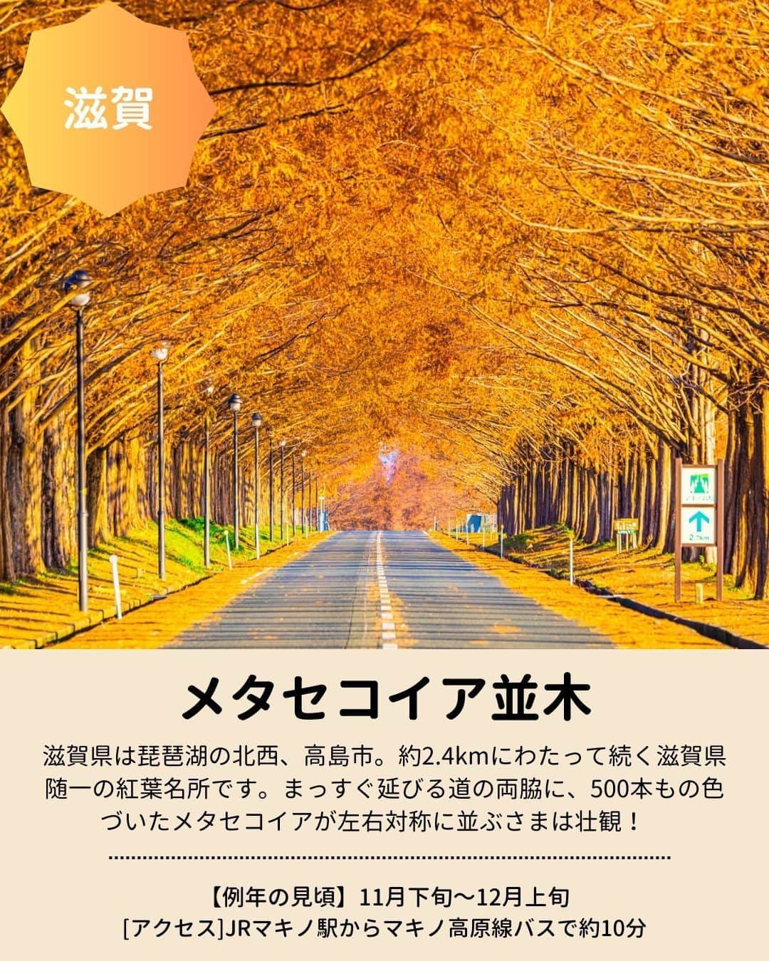 旅行比較サイト・トラベルコ 理想の旅を、いちばん安く。さんのインスタグラム写真 - (旅行比較サイト・トラベルコ 理想の旅を、いちばん安く。Instagram)「秋のお出かけに！　全国の #紅葉名所 をピックアップしてご紹介👩‍💻  今年の見頃は、平年並みか平年より遅い予想ですが、日本でいちばん紅葉が早いといわれる北海道の大雪山旭岳は先日、見頃を迎えたとの情報があります💡 保存してお出かけの参考にしてくださいね✨  #蔦沼 ｜青森県十和田市 #平林寺 ｜埼玉県新座市 #明治神宮外苑 ｜東京都新宿区 #河口湖もみじ回廊 ｜山梨県富士河口湖町 #香嵐渓 ｜愛知県豊田市 #メタセコイア並木 ｜滋賀県高島市 #永観堂 （禅林寺） ｜京都府京都市 #紅葉谷公園 ｜広島県廿日市市  ※最新情報は各公式サイトにてご確認ください  ＝＝＝＝＝＝＝＝＝＝＝＝＝＝＝＝＝ 【全国版】紅葉名所2023｜見頃やライトアップ情報をチェックしてもみじ狩りへ！  記事は以下URLまたはストーリーズからチェック！ https://www.tour.ne.jp/matome/articles/kouyou/ ＝＝＝＝＝＝＝＝＝＝＝＝＝＝＝＝＝＝  ***** あなたが旅先で出合った素敵な風景に #トラベルコ または #travelko をつけて投稿してみてください📷 こちらのアカウントで紹介させていただくかも！  投稿を見て「行きたい！」と思ったら保存でクリップ。 フォロー＆いいねもお願いします🌟  ***** 国内海外1500以上の旅行サイトをまとめて比較！ 旅行の最安値を探すなら「トラベルコ」  プロフィール欄のURLから早速検索🔍 @travelko_official  #紅葉 #紅葉狩り #紅葉スポット #紅葉ライトアップ #国内旅行 #japantrip #japantravel #フォトジェニック #ファインダー越しの私の世界 #誰かに見せたい景色 #旅行好きな人と繋がりたい #写真好きな人と繋がりたい #女子旅 #一人旅 #旅行好き #旅行 #観光 #travelko #トラベルコ」9月28日 12時23分 - travelko_official