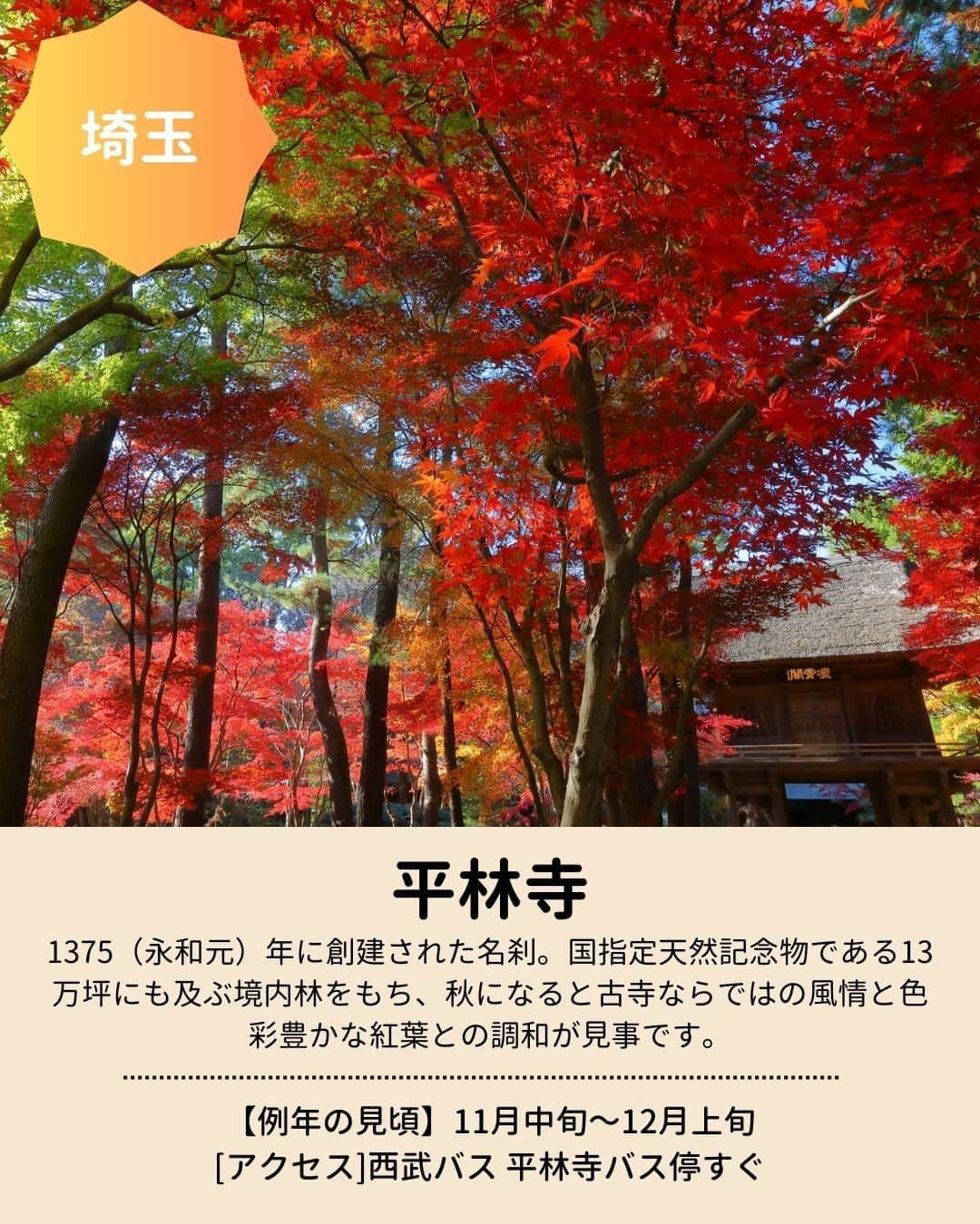 旅行比較サイト・トラベルコ 理想の旅を、いちばん安く。さんのインスタグラム写真 - (旅行比較サイト・トラベルコ 理想の旅を、いちばん安く。Instagram)「秋のお出かけに！　全国の #紅葉名所 をピックアップしてご紹介👩‍💻  今年の見頃は、平年並みか平年より遅い予想ですが、日本でいちばん紅葉が早いといわれる北海道の大雪山旭岳は先日、見頃を迎えたとの情報があります💡 保存してお出かけの参考にしてくださいね✨  #蔦沼 ｜青森県十和田市 #平林寺 ｜埼玉県新座市 #明治神宮外苑 ｜東京都新宿区 #河口湖もみじ回廊 ｜山梨県富士河口湖町 #香嵐渓 ｜愛知県豊田市 #メタセコイア並木 ｜滋賀県高島市 #永観堂 （禅林寺） ｜京都府京都市 #紅葉谷公園 ｜広島県廿日市市  ※最新情報は各公式サイトにてご確認ください  ＝＝＝＝＝＝＝＝＝＝＝＝＝＝＝＝＝ 【全国版】紅葉名所2023｜見頃やライトアップ情報をチェックしてもみじ狩りへ！  記事は以下URLまたはストーリーズからチェック！ https://www.tour.ne.jp/matome/articles/kouyou/ ＝＝＝＝＝＝＝＝＝＝＝＝＝＝＝＝＝＝  ***** あなたが旅先で出合った素敵な風景に #トラベルコ または #travelko をつけて投稿してみてください📷 こちらのアカウントで紹介させていただくかも！  投稿を見て「行きたい！」と思ったら保存でクリップ。 フォロー＆いいねもお願いします🌟  ***** 国内海外1500以上の旅行サイトをまとめて比較！ 旅行の最安値を探すなら「トラベルコ」  プロフィール欄のURLから早速検索🔍 @travelko_official  #紅葉 #紅葉狩り #紅葉スポット #紅葉ライトアップ #国内旅行 #japantrip #japantravel #フォトジェニック #ファインダー越しの私の世界 #誰かに見せたい景色 #旅行好きな人と繋がりたい #写真好きな人と繋がりたい #女子旅 #一人旅 #旅行好き #旅行 #観光 #travelko #トラベルコ」9月28日 12時23分 - travelko_official