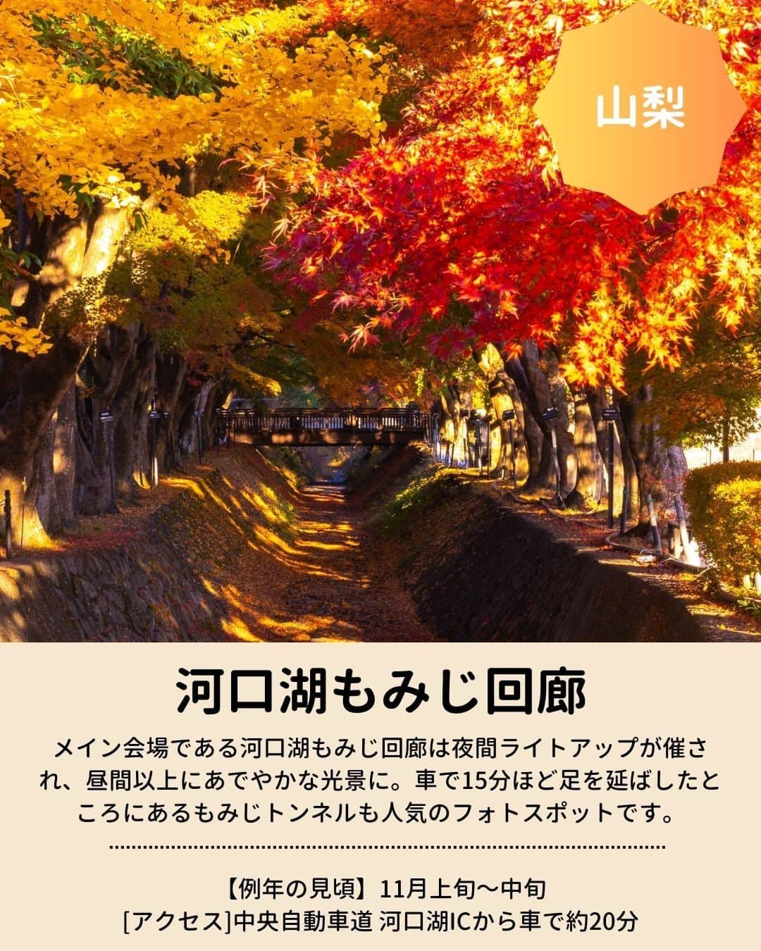 旅行比較サイト・トラベルコ 理想の旅を、いちばん安く。さんのインスタグラム写真 - (旅行比較サイト・トラベルコ 理想の旅を、いちばん安く。Instagram)「秋のお出かけに！　全国の #紅葉名所 をピックアップしてご紹介👩‍💻  今年の見頃は、平年並みか平年より遅い予想ですが、日本でいちばん紅葉が早いといわれる北海道の大雪山旭岳は先日、見頃を迎えたとの情報があります💡 保存してお出かけの参考にしてくださいね✨  #蔦沼 ｜青森県十和田市 #平林寺 ｜埼玉県新座市 #明治神宮外苑 ｜東京都新宿区 #河口湖もみじ回廊 ｜山梨県富士河口湖町 #香嵐渓 ｜愛知県豊田市 #メタセコイア並木 ｜滋賀県高島市 #永観堂 （禅林寺） ｜京都府京都市 #紅葉谷公園 ｜広島県廿日市市  ※最新情報は各公式サイトにてご確認ください  ＝＝＝＝＝＝＝＝＝＝＝＝＝＝＝＝＝ 【全国版】紅葉名所2023｜見頃やライトアップ情報をチェックしてもみじ狩りへ！  記事は以下URLまたはストーリーズからチェック！ https://www.tour.ne.jp/matome/articles/kouyou/ ＝＝＝＝＝＝＝＝＝＝＝＝＝＝＝＝＝＝  ***** あなたが旅先で出合った素敵な風景に #トラベルコ または #travelko をつけて投稿してみてください📷 こちらのアカウントで紹介させていただくかも！  投稿を見て「行きたい！」と思ったら保存でクリップ。 フォロー＆いいねもお願いします🌟  ***** 国内海外1500以上の旅行サイトをまとめて比較！ 旅行の最安値を探すなら「トラベルコ」  プロフィール欄のURLから早速検索🔍 @travelko_official  #紅葉 #紅葉狩り #紅葉スポット #紅葉ライトアップ #国内旅行 #japantrip #japantravel #フォトジェニック #ファインダー越しの私の世界 #誰かに見せたい景色 #旅行好きな人と繋がりたい #写真好きな人と繋がりたい #女子旅 #一人旅 #旅行好き #旅行 #観光 #travelko #トラベルコ」9月28日 12時23分 - travelko_official