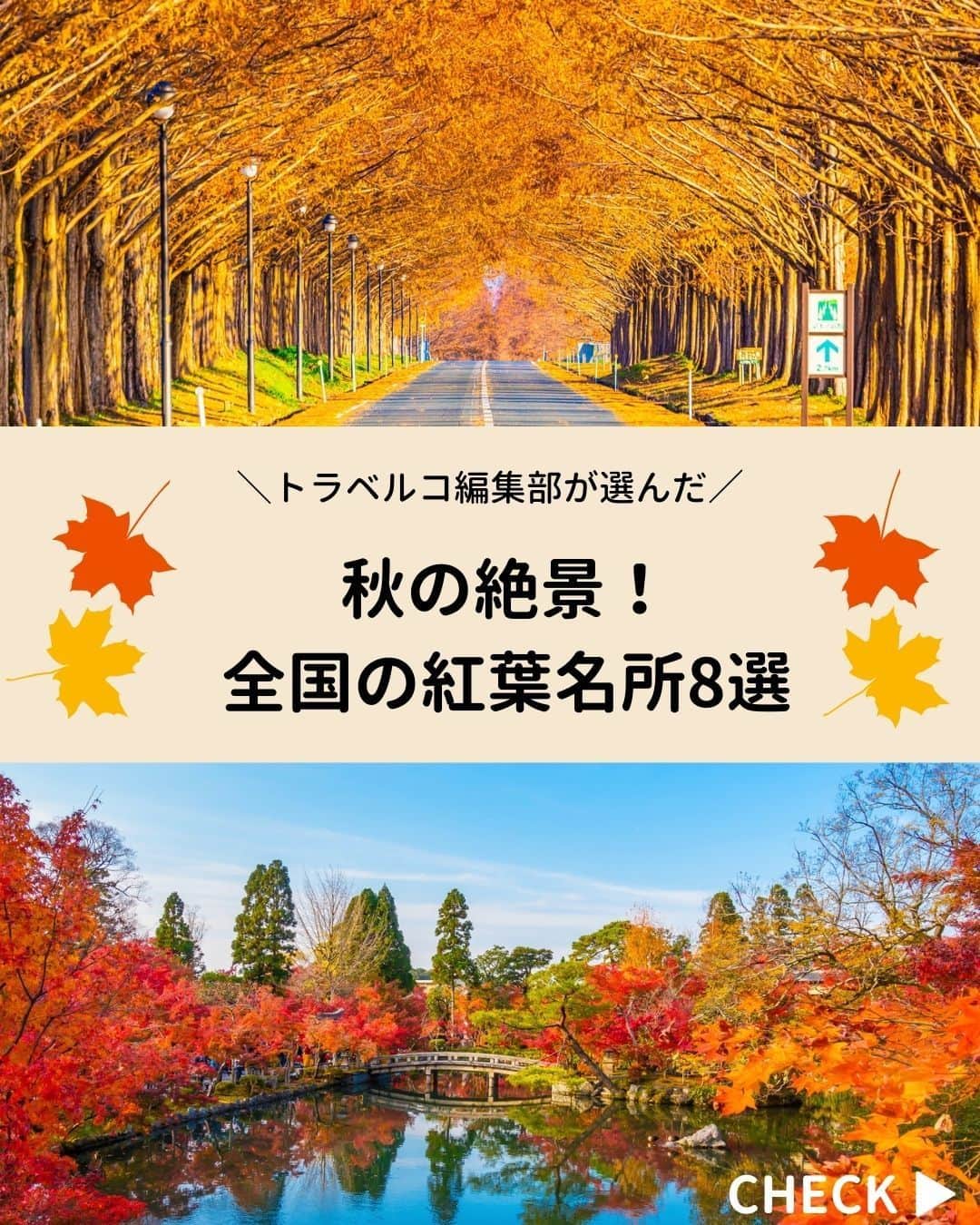 旅行比較サイト・トラベルコ 理想の旅を、いちばん安く。さんのインスタグラム写真 - (旅行比較サイト・トラベルコ 理想の旅を、いちばん安く。Instagram)「秋のお出かけに！　全国の #紅葉名所 をピックアップしてご紹介👩‍💻  今年の見頃は、平年並みか平年より遅い予想ですが、日本でいちばん紅葉が早いといわれる北海道の大雪山旭岳は先日、見頃を迎えたとの情報があります💡 保存してお出かけの参考にしてくださいね✨  #蔦沼 ｜青森県十和田市 #平林寺 ｜埼玉県新座市 #明治神宮外苑 ｜東京都新宿区 #河口湖もみじ回廊 ｜山梨県富士河口湖町 #香嵐渓 ｜愛知県豊田市 #メタセコイア並木 ｜滋賀県高島市 #永観堂 （禅林寺） ｜京都府京都市 #紅葉谷公園 ｜広島県廿日市市  ※最新情報は各公式サイトにてご確認ください  ＝＝＝＝＝＝＝＝＝＝＝＝＝＝＝＝＝ 【全国版】紅葉名所2023｜見頃やライトアップ情報をチェックしてもみじ狩りへ！  記事は以下URLまたはストーリーズからチェック！ https://www.tour.ne.jp/matome/articles/kouyou/ ＝＝＝＝＝＝＝＝＝＝＝＝＝＝＝＝＝＝  ***** あなたが旅先で出合った素敵な風景に #トラベルコ または #travelko をつけて投稿してみてください📷 こちらのアカウントで紹介させていただくかも！  投稿を見て「行きたい！」と思ったら保存でクリップ。 フォロー＆いいねもお願いします🌟  ***** 国内海外1500以上の旅行サイトをまとめて比較！ 旅行の最安値を探すなら「トラベルコ」  プロフィール欄のURLから早速検索🔍 @travelko_official  #紅葉 #紅葉狩り #紅葉スポット #紅葉ライトアップ #国内旅行 #japantrip #japantravel #フォトジェニック #ファインダー越しの私の世界 #誰かに見せたい景色 #旅行好きな人と繋がりたい #写真好きな人と繋がりたい #女子旅 #一人旅 #旅行好き #旅行 #観光 #travelko #トラベルコ」9月28日 12時23分 - travelko_official