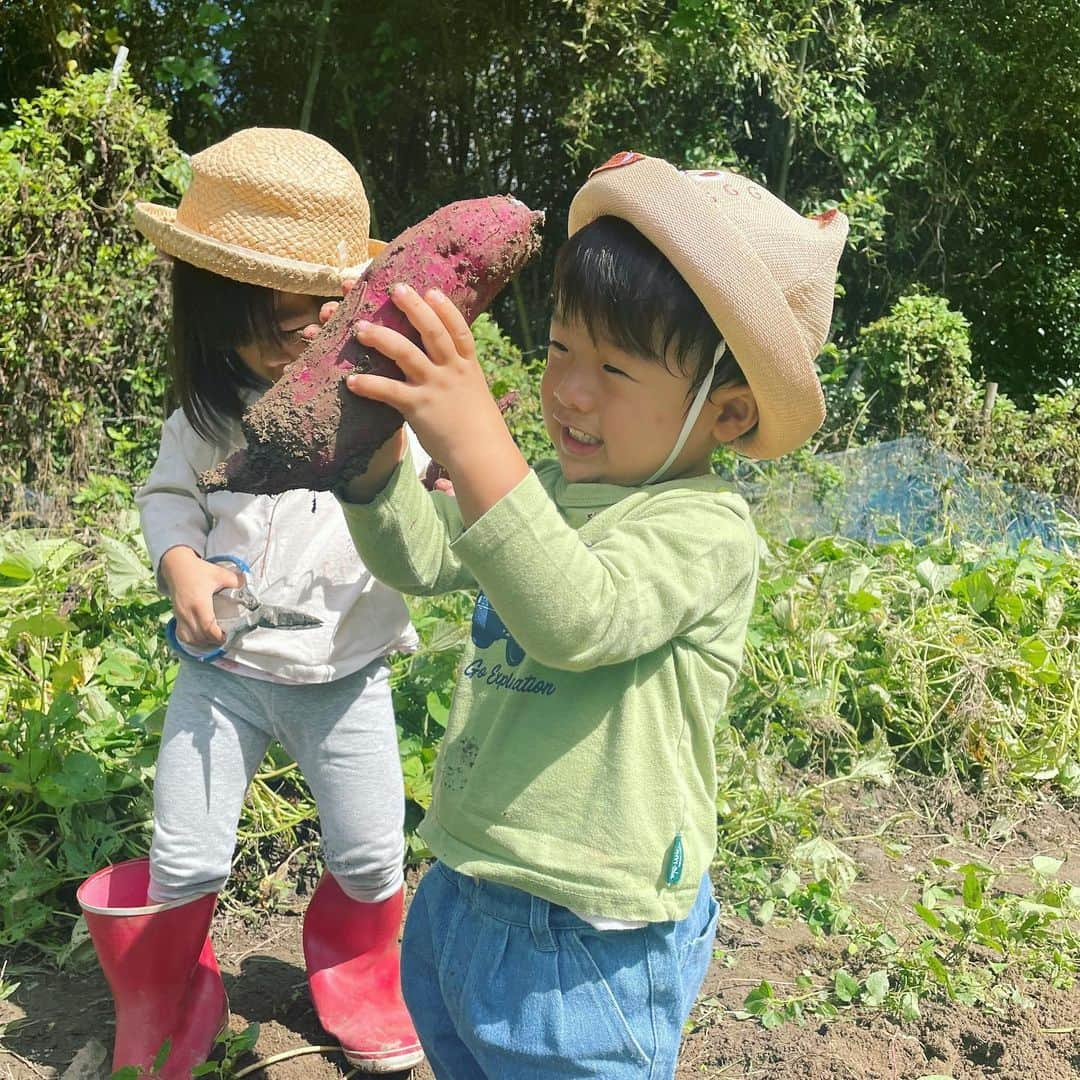 いわさきふきこ のインスタグラム：「秋ですね🍠   #令和3年生まれ #令和3年5月生まれ #2歳4ヶ月 #令和元年生まれ #令和元年10月生まれ #3歳11ヶ月 #1歳7ヶ月差 #姉弟」