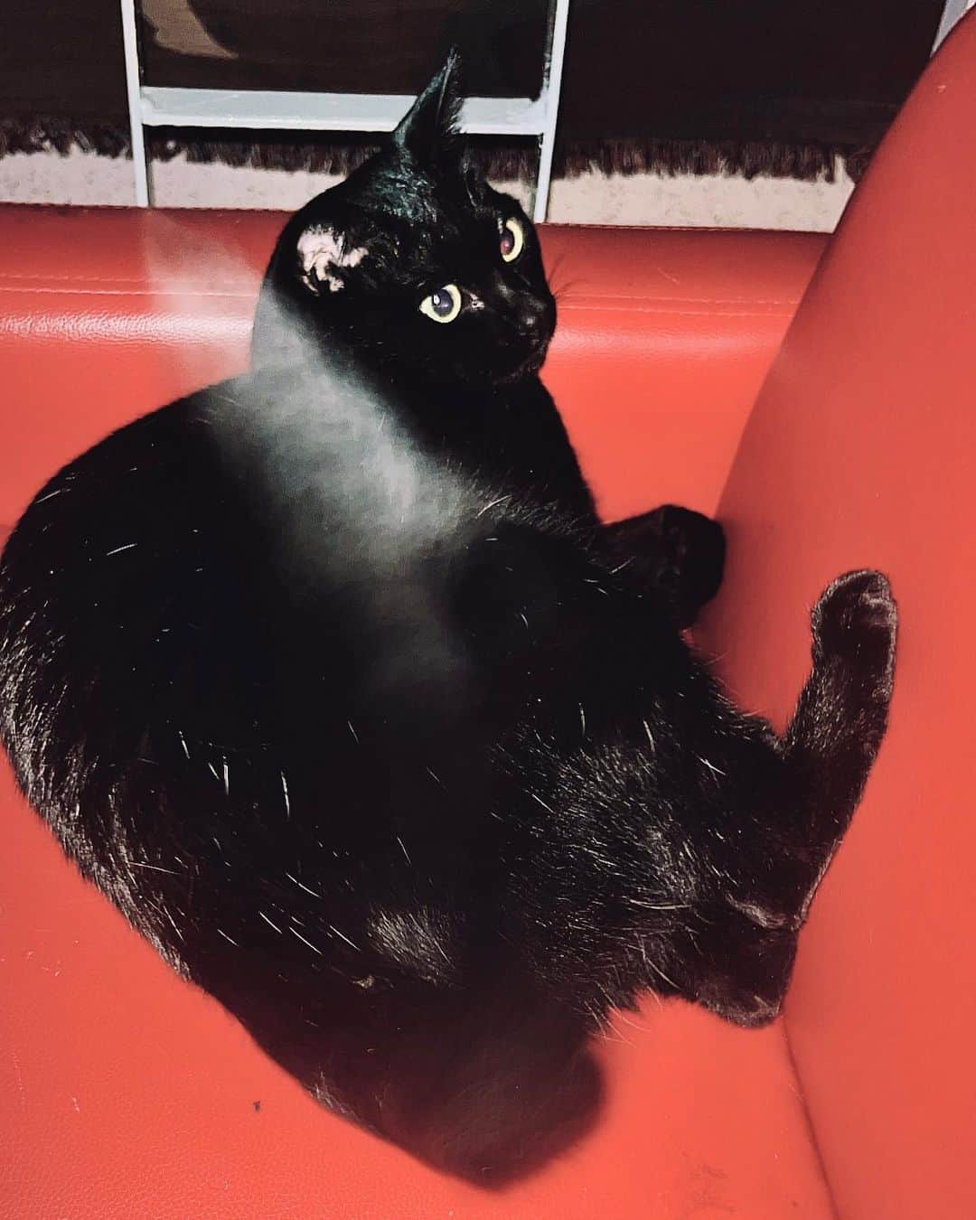 ヒョンミン のインスタグラム：「풍요로운 한가위 되세요.🖤」