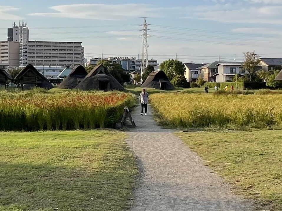 石野卓球さんのインスタグラム写真 - (石野卓球Instagram)「登呂遺跡」9月28日 13時44分 - takkyuishino