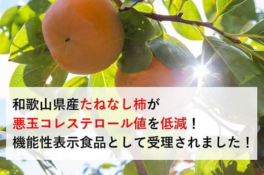 和歌山県食品流通課のインスタグラム：「＼秋の味覚／ 和歌山県産たねなし柿が、悪玉コレステロール値を低減！ 機能性表示食品として受理されました！   朝夕が涼しくなり、いよいよ秋を感じられる季節になりましたね🍁 秋と言えば「食欲の秋」！和歌山県では生産量日本一を誇る柿が、収穫シーズンを迎えています‼️  今年は、たねなし柿に多く含まれる「柿タンニン」に、悪玉コレステロールを減らす作用があることが研究でわかり、和歌山県産たねなし柿について「機能性表示食品」の届け出が、消費者庁に受理されました。ちなみに他には、発がん抑制効果があるＢ‐クリプトキサンチン、抗酸化作用や美肌効果のあるビタミンＣも含まれています😳  おいしいだけじゃない！健康にも良い「たねなし柿」を食べて、皆さん元気に過ごしましょう💪    ---------機能性詳細--------- 　ＪＡ和歌山県農と大阪公立大学、近畿大学生物理工学部・農学部は、「和歌山のたねなし柿（和歌山県産の中谷早生、刀根早生および平核無）」に含まれる「柿タンニン」を摂取することで、悪玉（ＬＤＬ）コレステロール値を低減させられることを臨床試験で実証しました。 　臨床試験では、柿タンニン１日当たり２.１ｇの摂取を４週間続けることで、悪玉（ＬＤＬ）コレステロール値を有意に低減させられることが判明しました。このタンニンの量は、「和歌山のたねなし柿」の生果１個に当たります。 　ＪＡ和歌山県農では、この試験結果を根拠に消費者庁へ機能性表示食品としての届け出を行い、８月に受理されました。柿特有の成分を関与成分とする初めての機能性表示食品です。 （届出者：和歌山県農業協同組合連合会、届出番号：Ｉ３６１）     #柿 #たねなし柿  #悪玉コレステロール  #機能性表示食品  #おいしい健康わかやま  #なんて素敵な和歌山なんでしょう  #おいしく食べて和歌山モール  #和歌山県  #tasty_healthy_wakayama  #wakayama  #insta_wakayama」