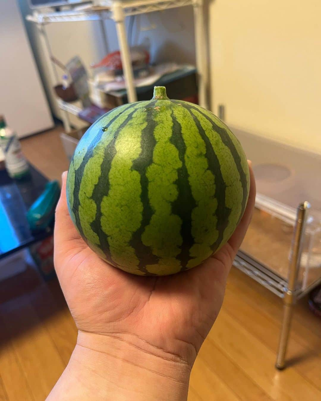 小川のブンちゃんのインスタグラム：「タネから育てたスイカ🍉 収穫しました。  冷蔵庫で冷やしてから 食べます。  甘くなかったら病みます。 僕のこの夏全てささげた。  術式反転　赫です」