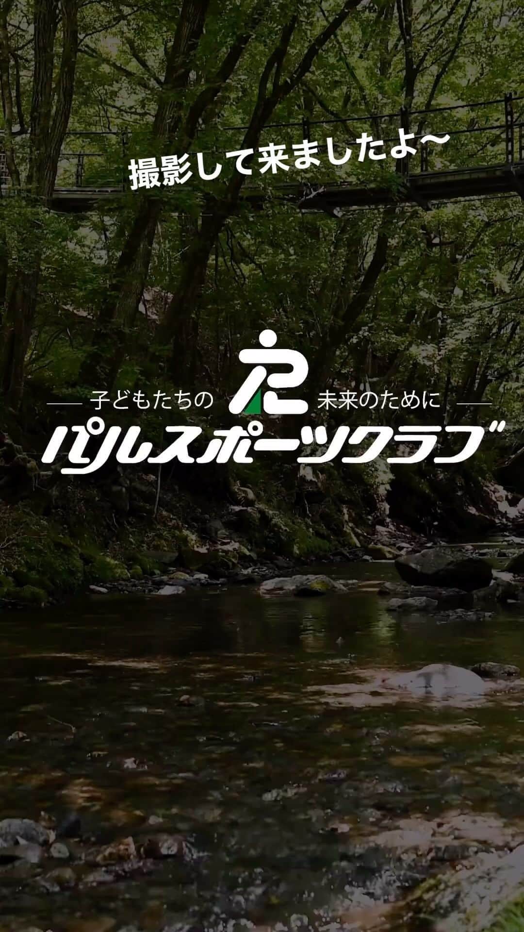japanese forest & web designer　kapiosanのインスタグラム
