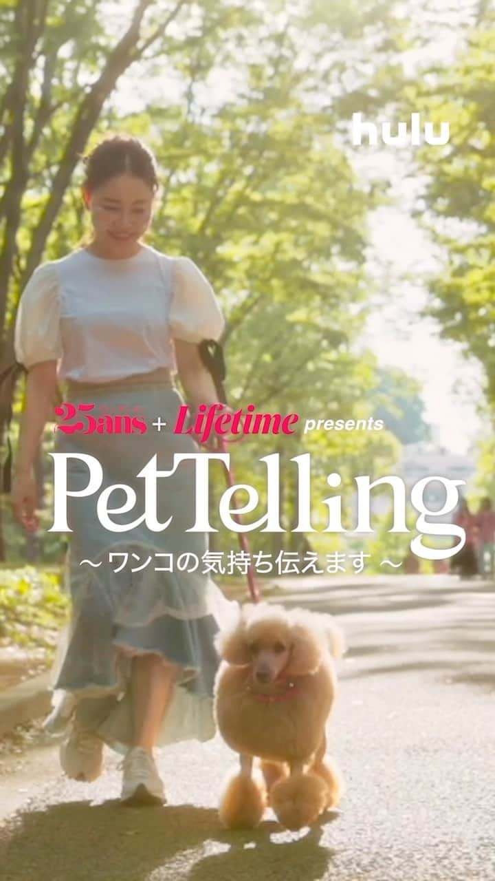 25ans SHOPのインスタグラム：「『25ans』と「Lifetime」の共同制作ドキュメンタリー「Pet Telling ～ワンコの気持ち伝えます～」がHuluで配信スタート！  エレdogたちの飼い主たちが抱える悩みに、スピリチュアルカウンセラーの加勢康晃さんがフォーカス。  ワンコたちの普段の行動に秘められた本当の気持ちは？ その答えは本編をチェック！  📽️9/28(木)よりHuluにて独占配信中！ https://www.hulu.jp/pet-telling  @hulu_japan   #エレドッグ #エレドッグ #pettelling #ペットテリング #dogstagram #愛犬との暮らし #ワンコのいる生活」