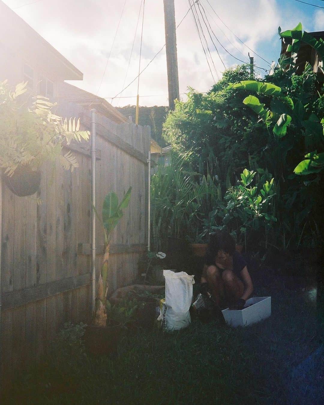 Tamikoさんのインスタグラム写真 - (TamikoInstagram)「sweet fruit of summer 🥭 love you guys」9月28日 16時25分 - tamikokonuts