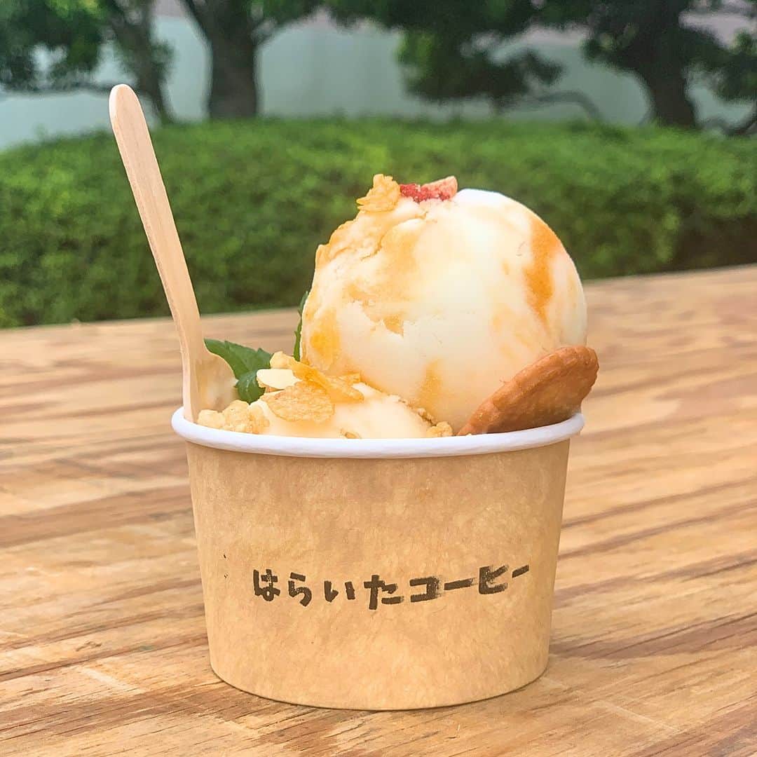 東京都庭園美術館さんのインスタグラム写真 - (東京都庭園美術館Instagram)「【10/1庭園マルシェ💐｜メニュー紹介】  ／ 《はらいたコーヒー》  コラボフローズンヨーグルト ＼  フランスで人気のアプリコットを使用した、豆乳ベースのフローズンヨーグルト。甘酸っぱく優しい味わいです。カフェインや乳製品が苦手でも楽しめるコーヒーやアイスをぜひお試しください。   開催　11:00―16:00 ※雨天実施、荒天の場合は中止／売り切れ次第終了  #東京都庭園美術館 #装飾の庭展 #装飾の庭 #朝香宮邸 #アールデコ #庭園 #装飾 #デザイン #建築 #展覧会 #東京 #マルシェ #tokyometropolitanteienartmuseum #teienartmuseum #ArtDecoGarden #artdeco #garden #design #exhibition #tokyo #marche #Teien40th」9月28日 17時00分 - teienartmuseum