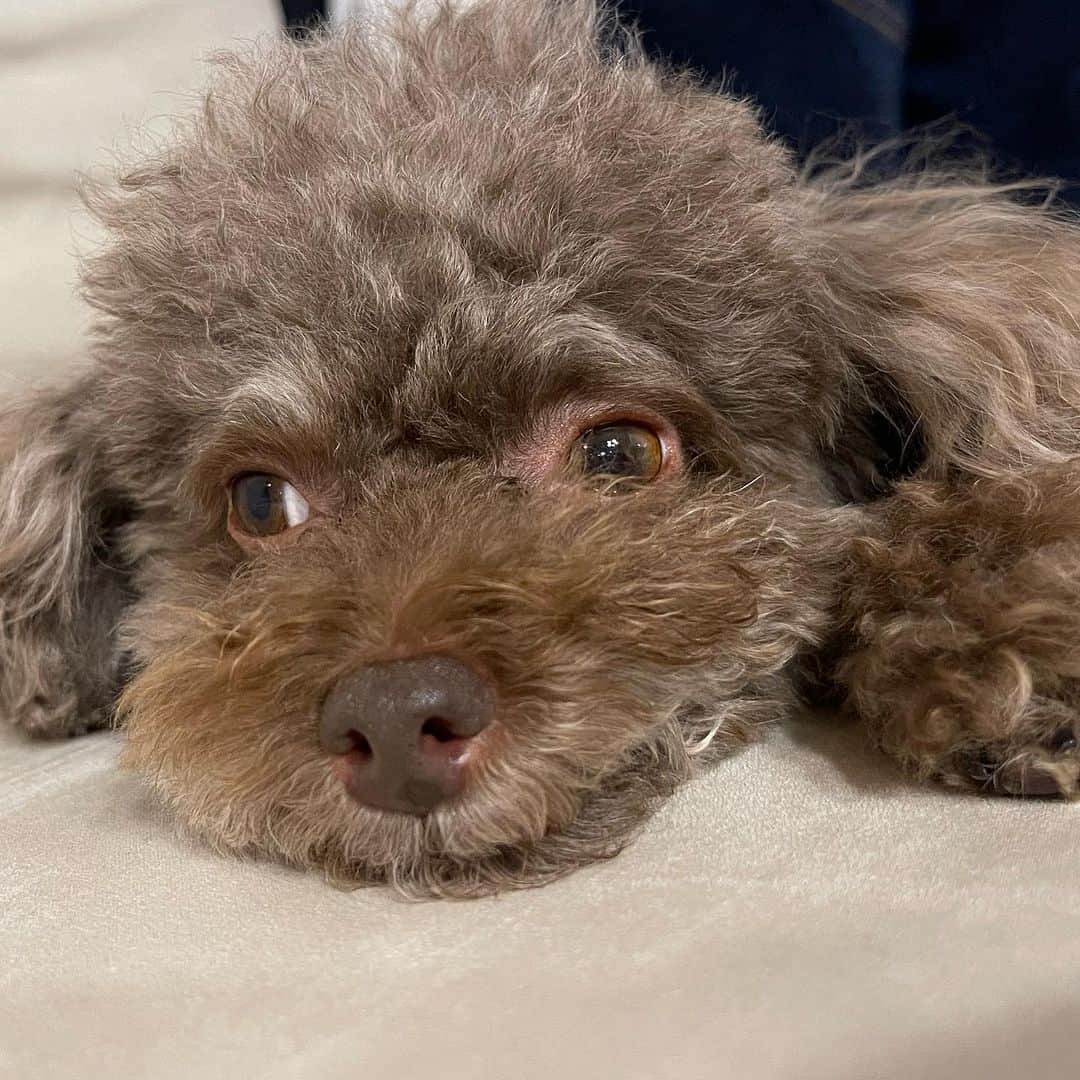 ユン・ウネさんのインスタグラム写真 - (ユン・ウネInstagram)「추석!잘~보내세요~🥰🍂」9月28日 17時02分 - y1003_grace