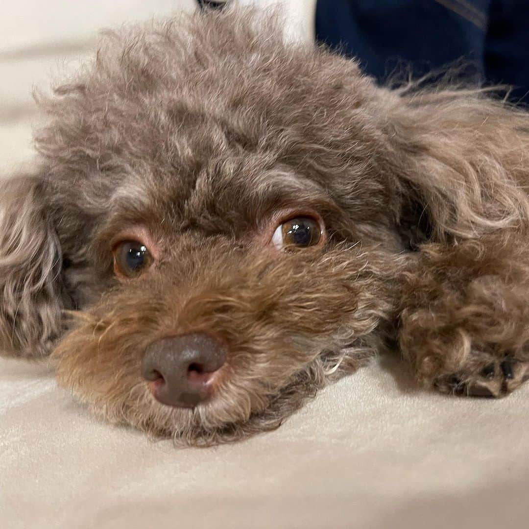 ユン・ウネさんのインスタグラム写真 - (ユン・ウネInstagram)「추석!잘~보내세요~🥰🍂」9月28日 17時02分 - y1003_grace