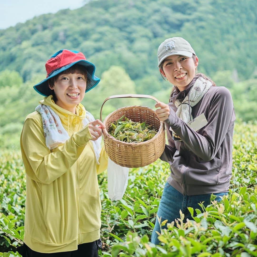 Afternoon Teaさんのインスタグラム写真 - (Afternoon TeaInstagram)「. ＼Afternoon Tea TEA GARDEN Report／ 2018年3月、岡山県新見市で、紅茶生産者の宮本英治さんが営む紅茶農園『アーリーモーニング』の一角に、Afternoon Teaの国産紅茶のプロジェクトとして「Afternoon Tea TEA GARDEN」をスタートしました。 あれから5年の月日が経ち、全国のティールームのスタッフ総勢19名で、初収穫としての茶摘みと、紅茶作りを体験してきました。  🍃茶摘み&紅茶作り体験🍃 2023年7月某日。前日まで雨が続いており、当日もお天気が心配されましたが、奇跡的に晴れて絶好の茶摘み日和に！紅茶に携わるスタッフの一員として、茶摘み&紅茶作り体験をしたい！という強い思いをもって、北は仙台から南は沖縄まで、全国のティールームのスタッフが岡山の地に集いました。  茶摘みと、紅茶を茶葉の状態から一から作るのは、全員初めての経験。 各自で作った紅茶は、宮本さんが一人一人に丁寧に淹れてくださり、それぞれの味や水色（すいしょく）の違いを実感し、あらためて紅茶の知識を高めることができました。  ▼体験レポート詳細は、プロフィール(@afternoontea_official)のリンク、または本日のストーリーズアーカイブ（TEA GARDEN）からブランドサイトにアクセスして、ティールームの特集ページご覧ください。  --------------------- Afternoon Tea公式アカウントでは 季節のメニューや雑貨の情報を日々発信しています。 ぜひフォローしてください！ @afternoontea_official ---------------------  #アフタヌーンティーティールーム #アフタヌーンティー #AfternoonTeaTEAROOM #AfternoonTea #TeaforPeace #アフタヌーンティーお茶時間 #紅茶 #紅茶作り #茶摘み」9月29日 14時00分 - afternoontea_official
