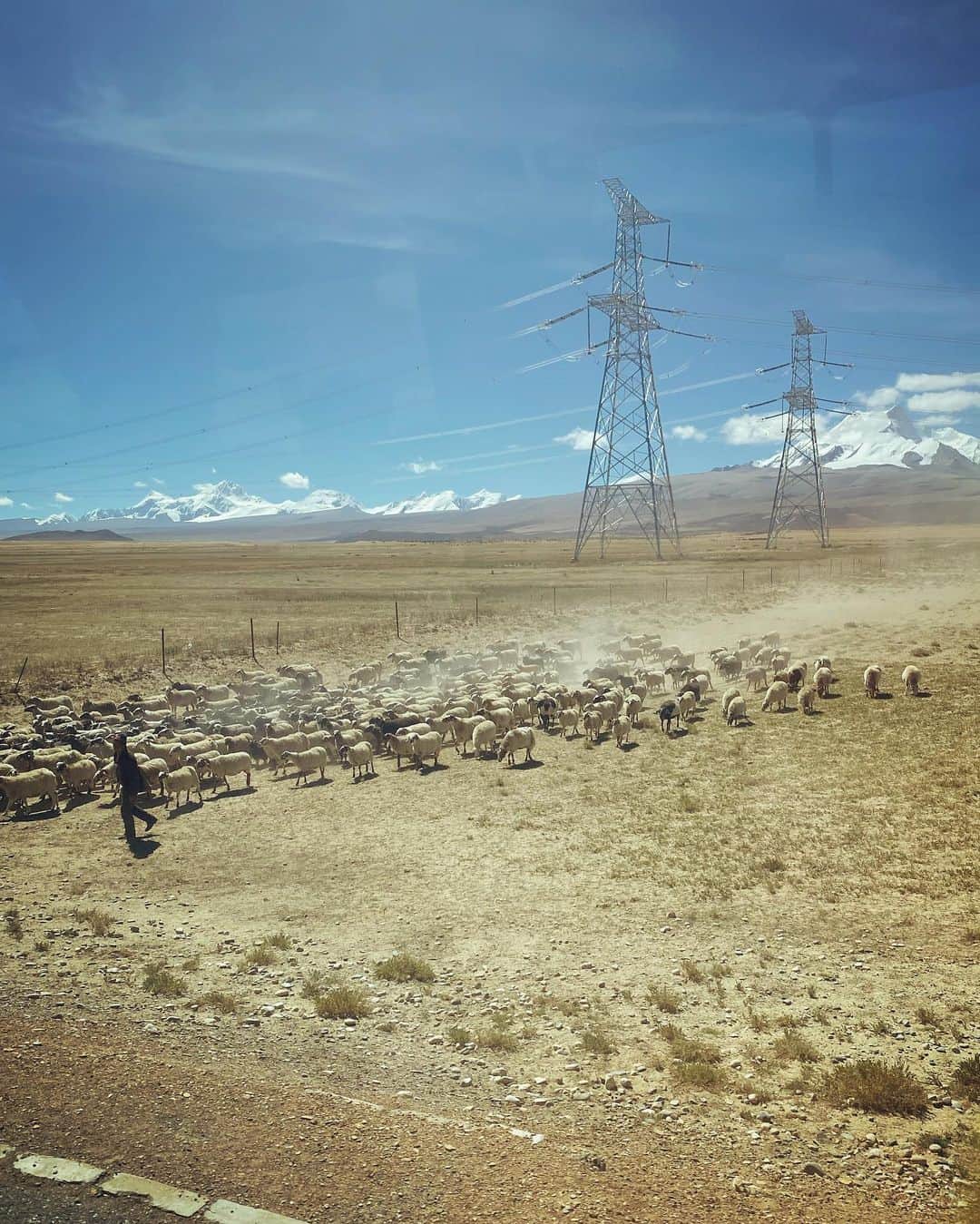 石川直樹さんのインスタグラム写真 - (石川直樹Instagram)「For Himalayas➉ Moving to the mountains. #Tibet. 標高5000mの峠を越えて、ニューティンリー着。1枚目の写真は、2つまえのポストと同じ峠です。10年前と今。#タルチョ が増えまくってる。 4枚目は、今日チョオユー組とシシャパンマ組に途中で分かれた際の荷物の積み替え風景。 5枚目はシシャパンマを望む展望台にあった地図。昨日泊まった国境の街、キロンは「吉隆」と書くんですね。 6枚目は、さっき着いたばかりのニューティンリー。10年前も2001年も、ぼくはオールドティンリーに泊まったのでした。ニューティンリーは発展している普通の街。 明日はオールドティンリーを経由して、チョオユーのプレBCへ。#チベット にいるってだけでワクワクしてます。」9月28日 17時15分 - straightree8848