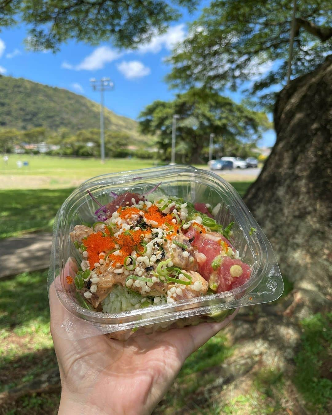 ハワイアン航空さんのインスタグラム写真 - (ハワイアン航空Instagram)「Happy #InternationalPokeDay !  9月28日は #ポケの日 です🐟 マノアにあるいつも行列のできる"Off the Hook Poke Market"のポケをご存じですか？ 一番人気はCold Ginger Ahi Poke。トッピングは全部乗せで😋 イートインスペースはないので、近くの公園などで食べるのも良し、ビーチまで行って食べるのも良し🤙  📍 @offthehookpokemarket  #今日は何の日 #ハワイグルメ #ハワイの風景 #hawaii」9月28日 17時24分 - hawaiianairlinesjp